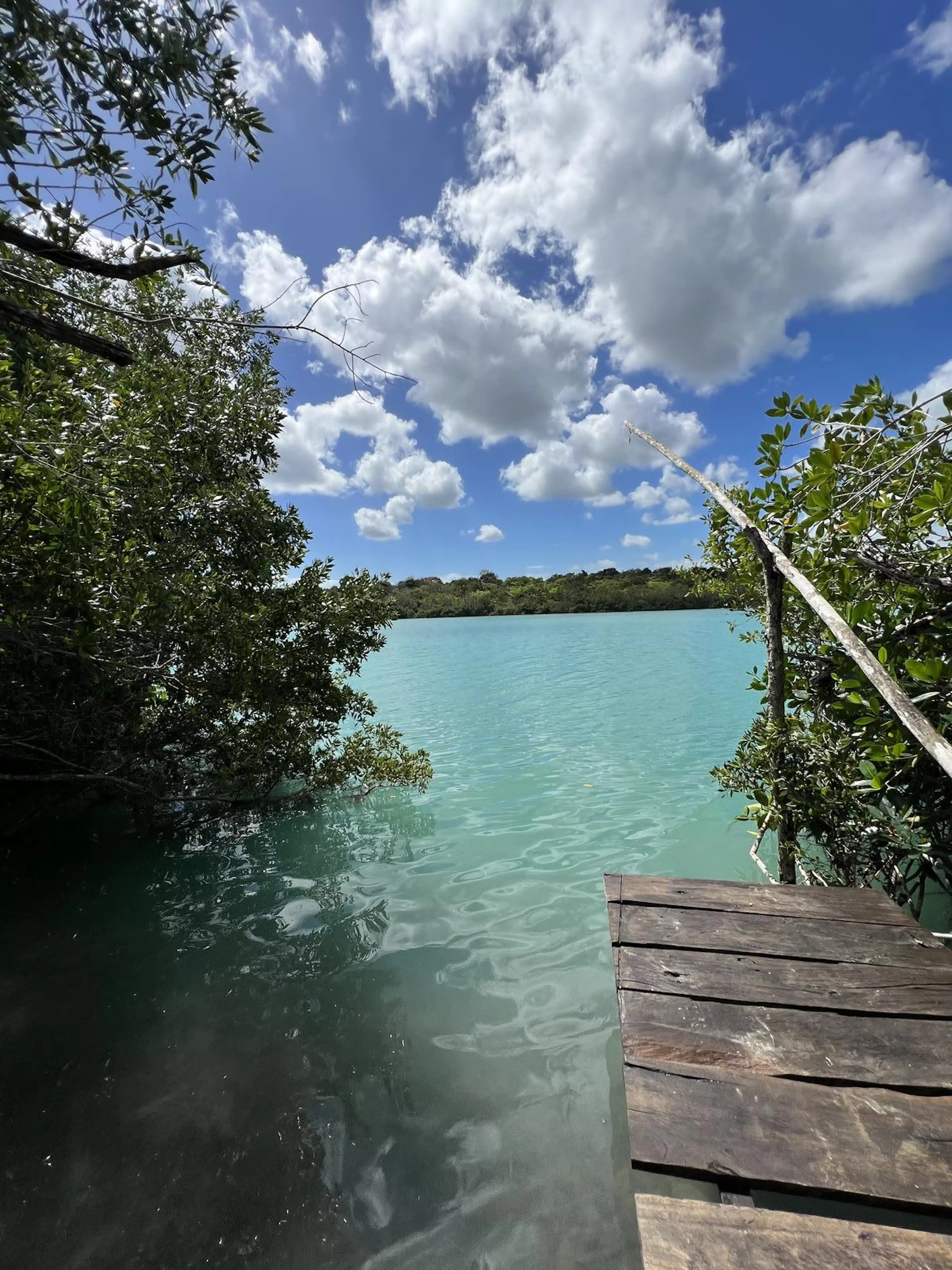 Terreno En Venta Frente A La Laguna De Bacalar