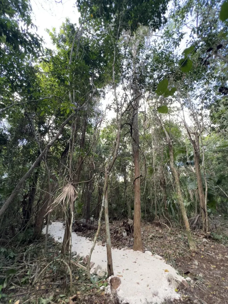 Terreno Spot2