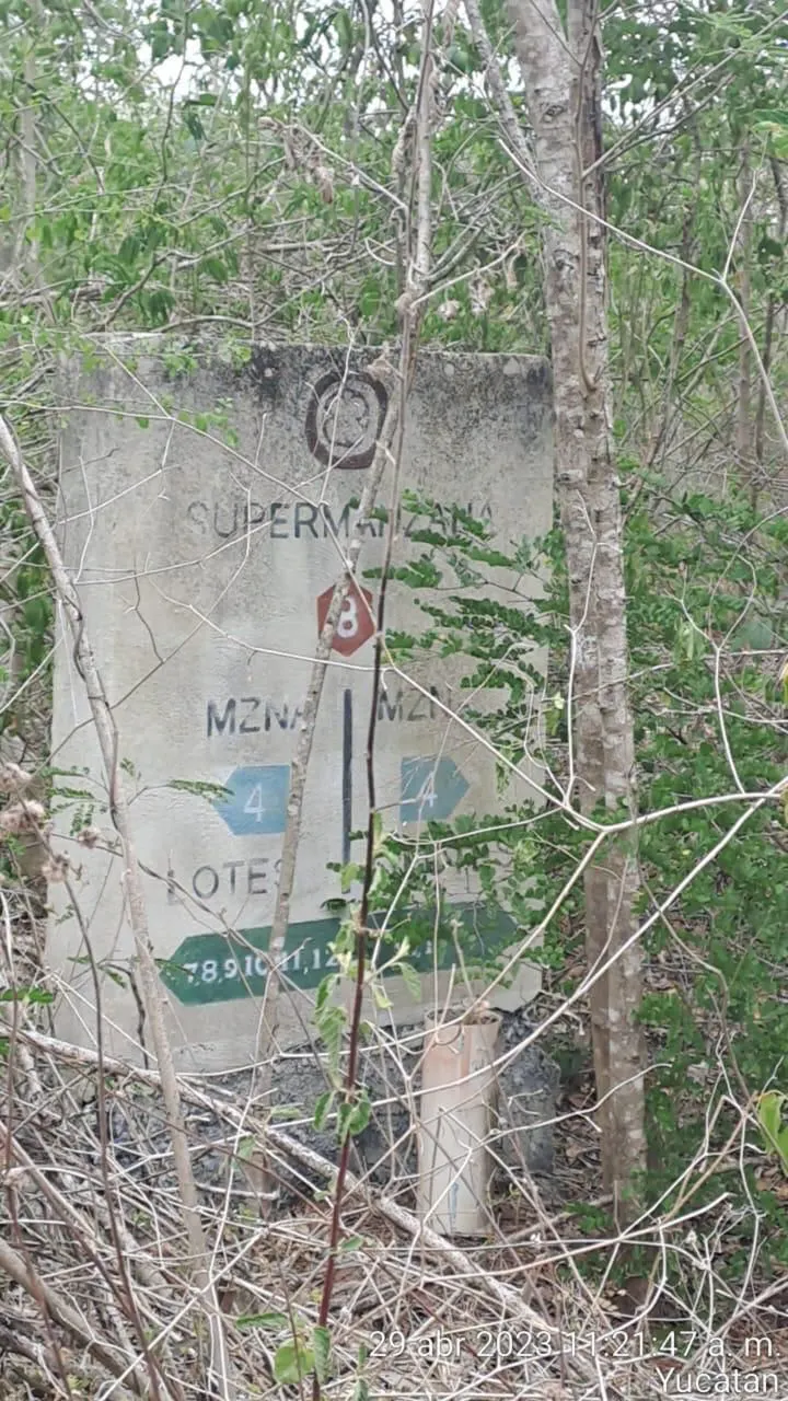 Terreno Spot2