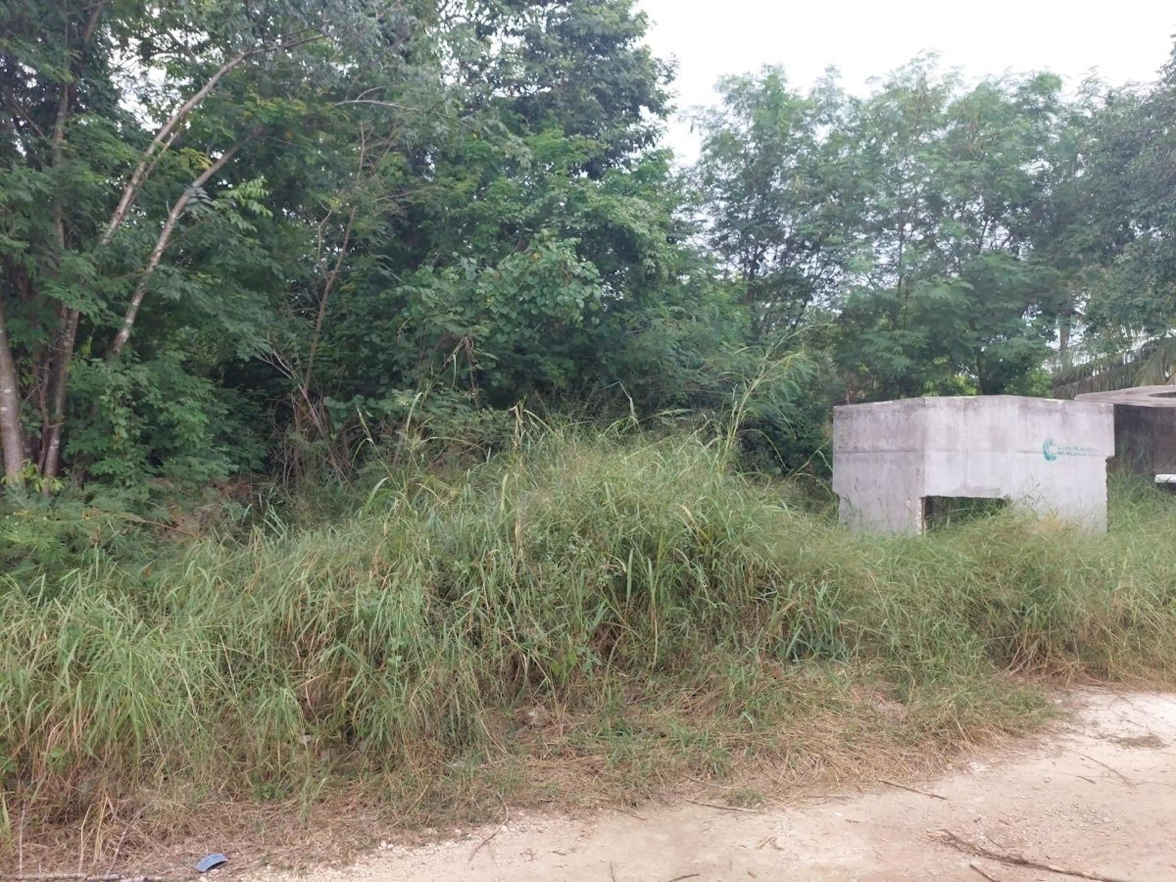 Terreno En Venta En Chichi Suárez