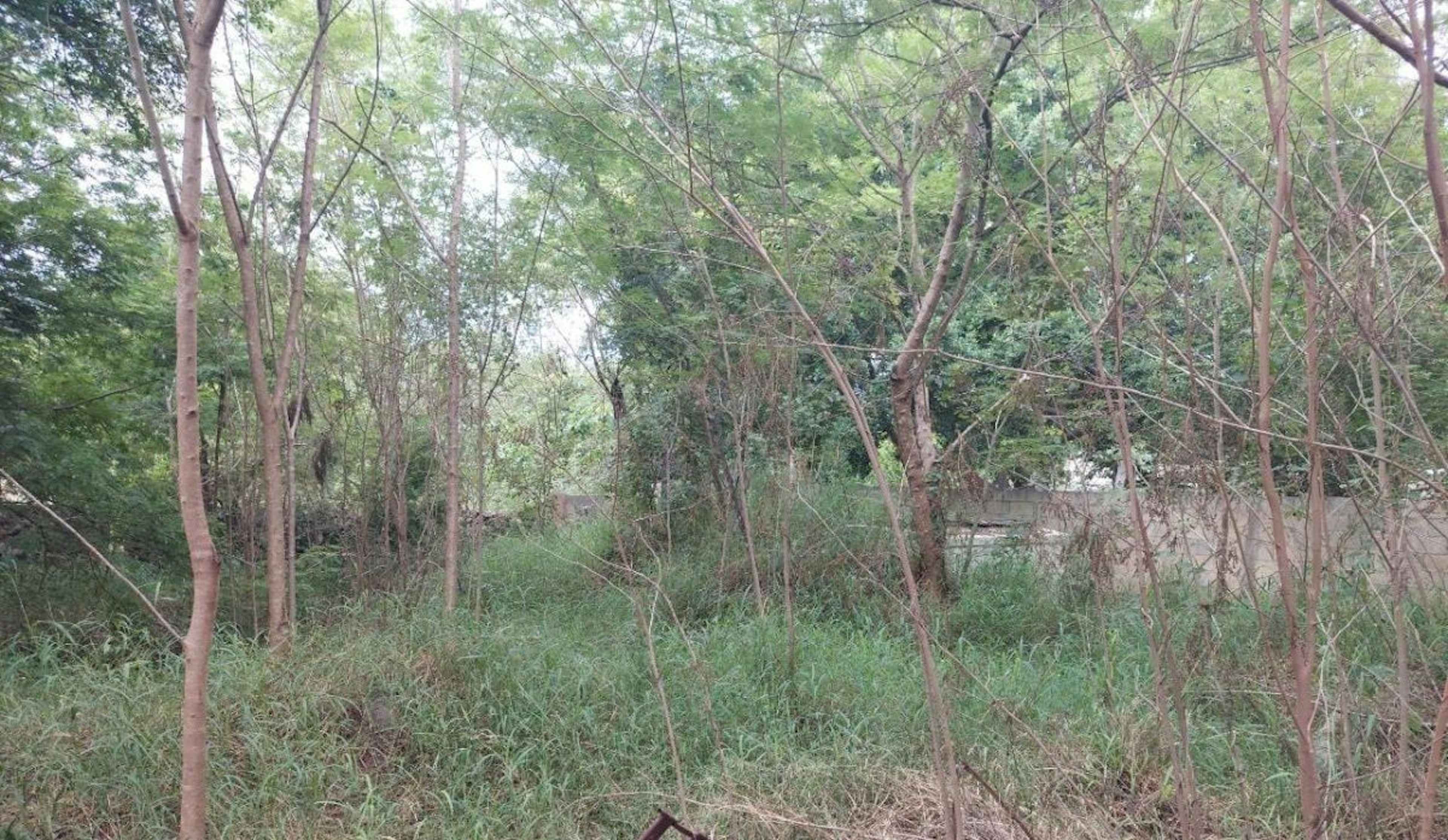 Terreno En Venta En Chichi Suárez