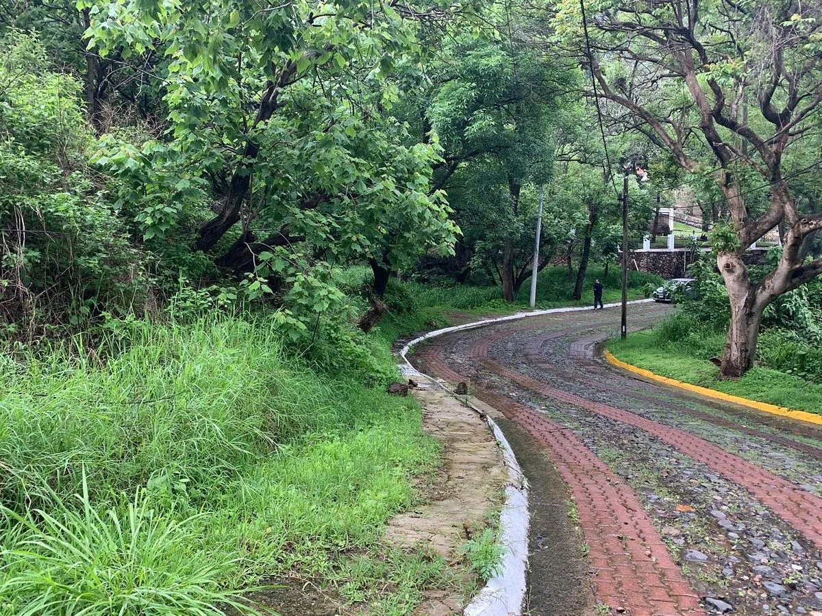 Terreno Spot2