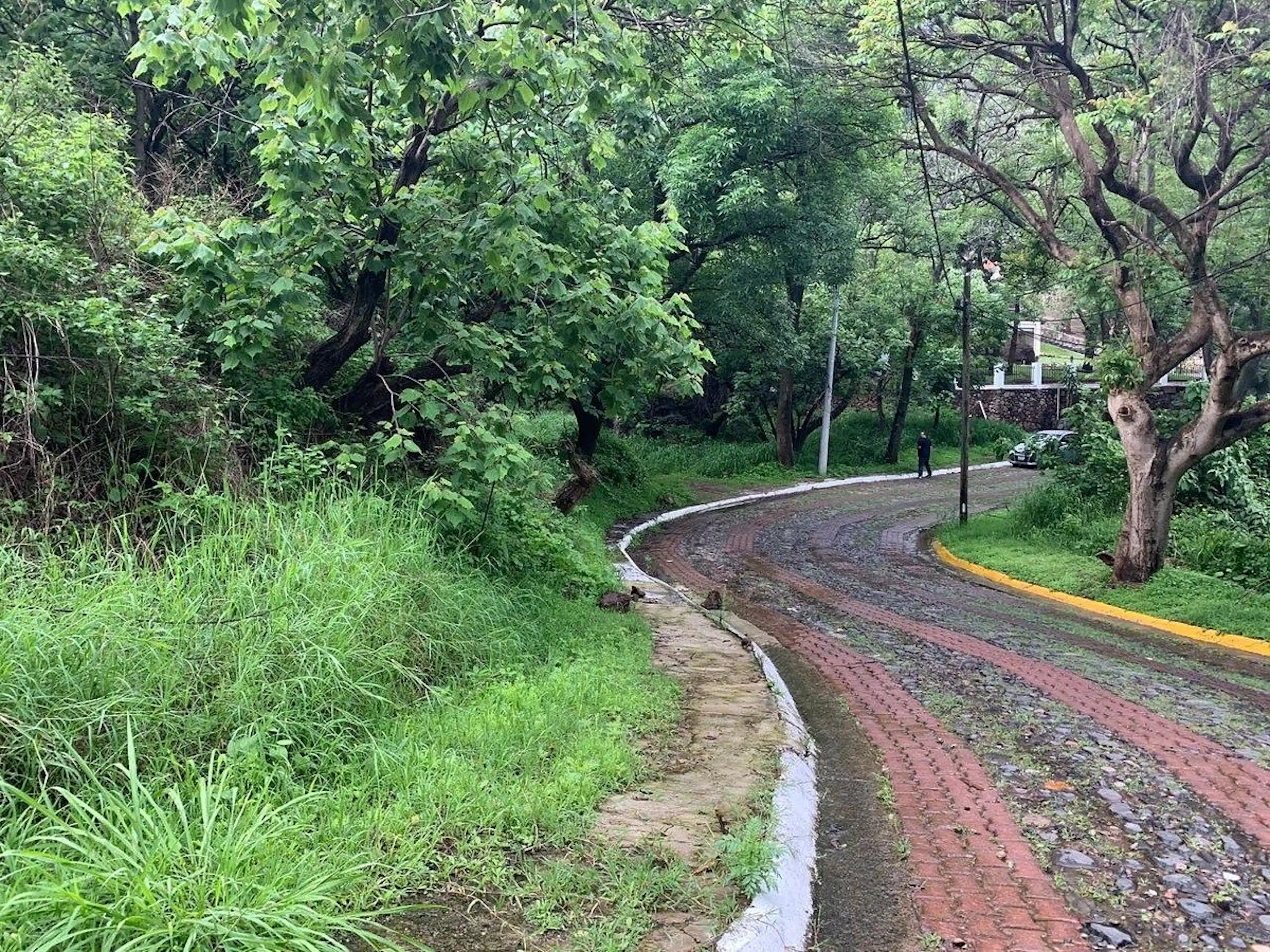 Terreno En Venta Las Cañadas, Bosques De Chapultepec, Zapopan
