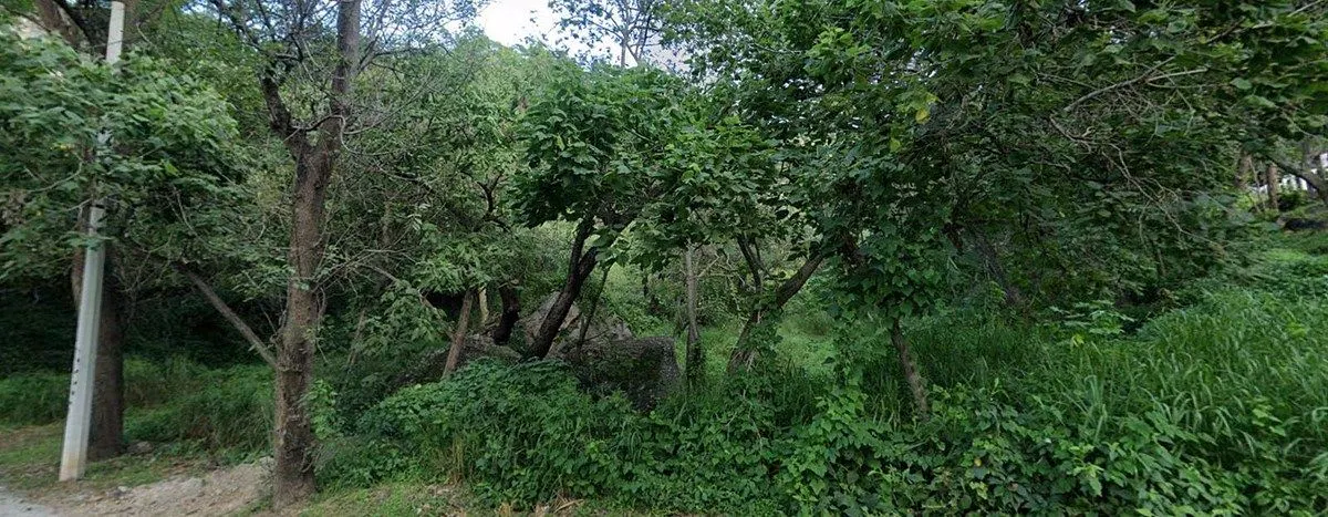 Terreno Spot2