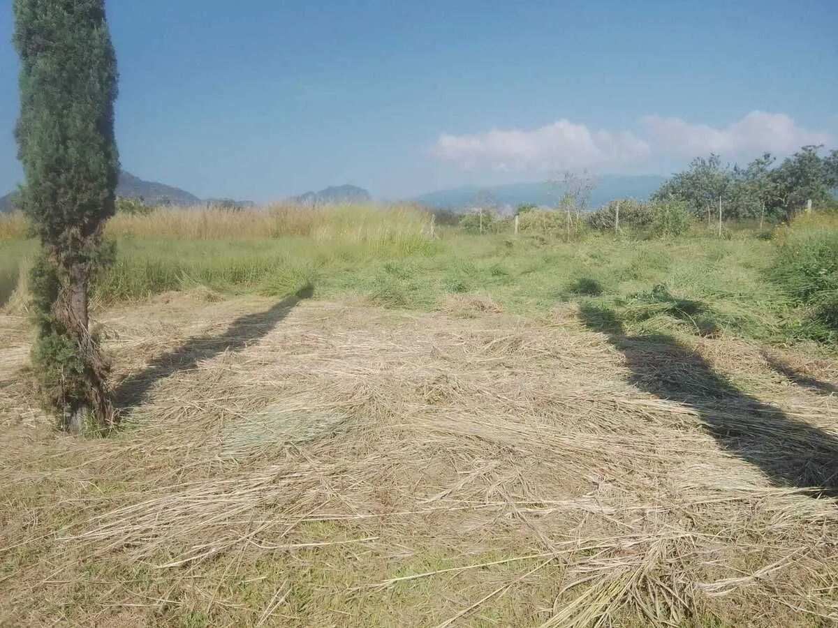 Terreno Spot2