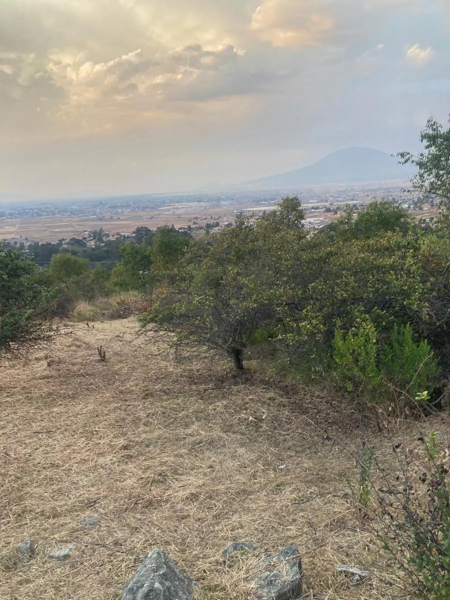 Terreno Spot2