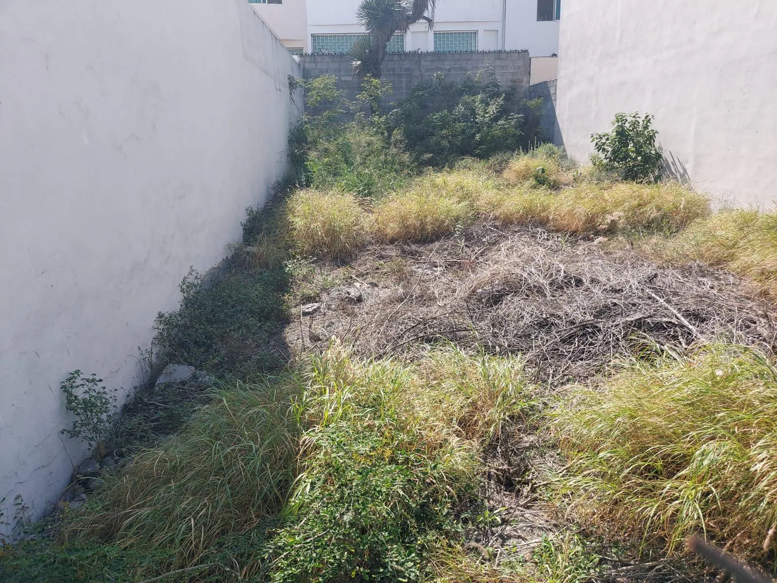 Terreno Spot2