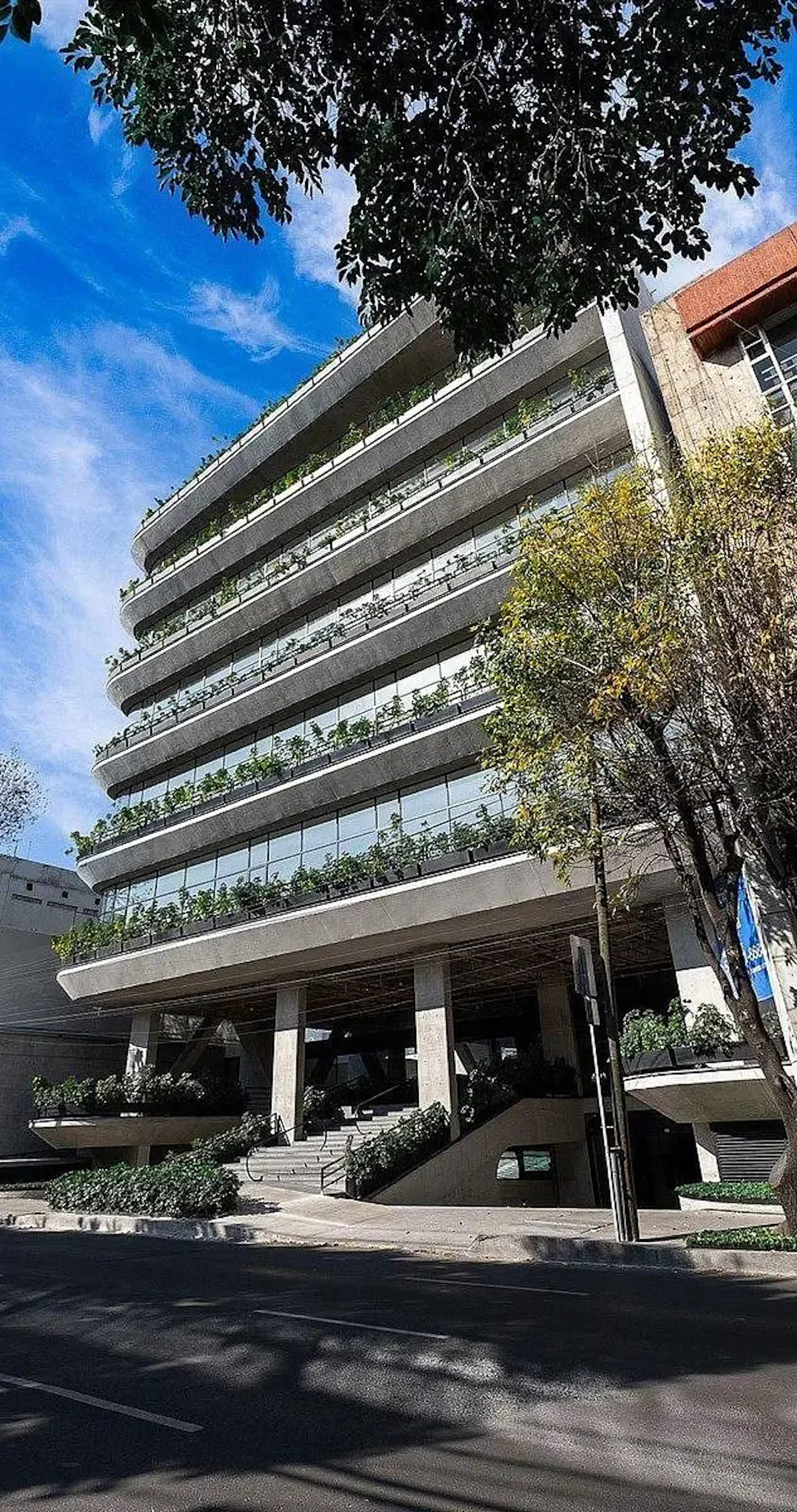 Renta Oficinas En La Colonia Del Valle Sur S/n