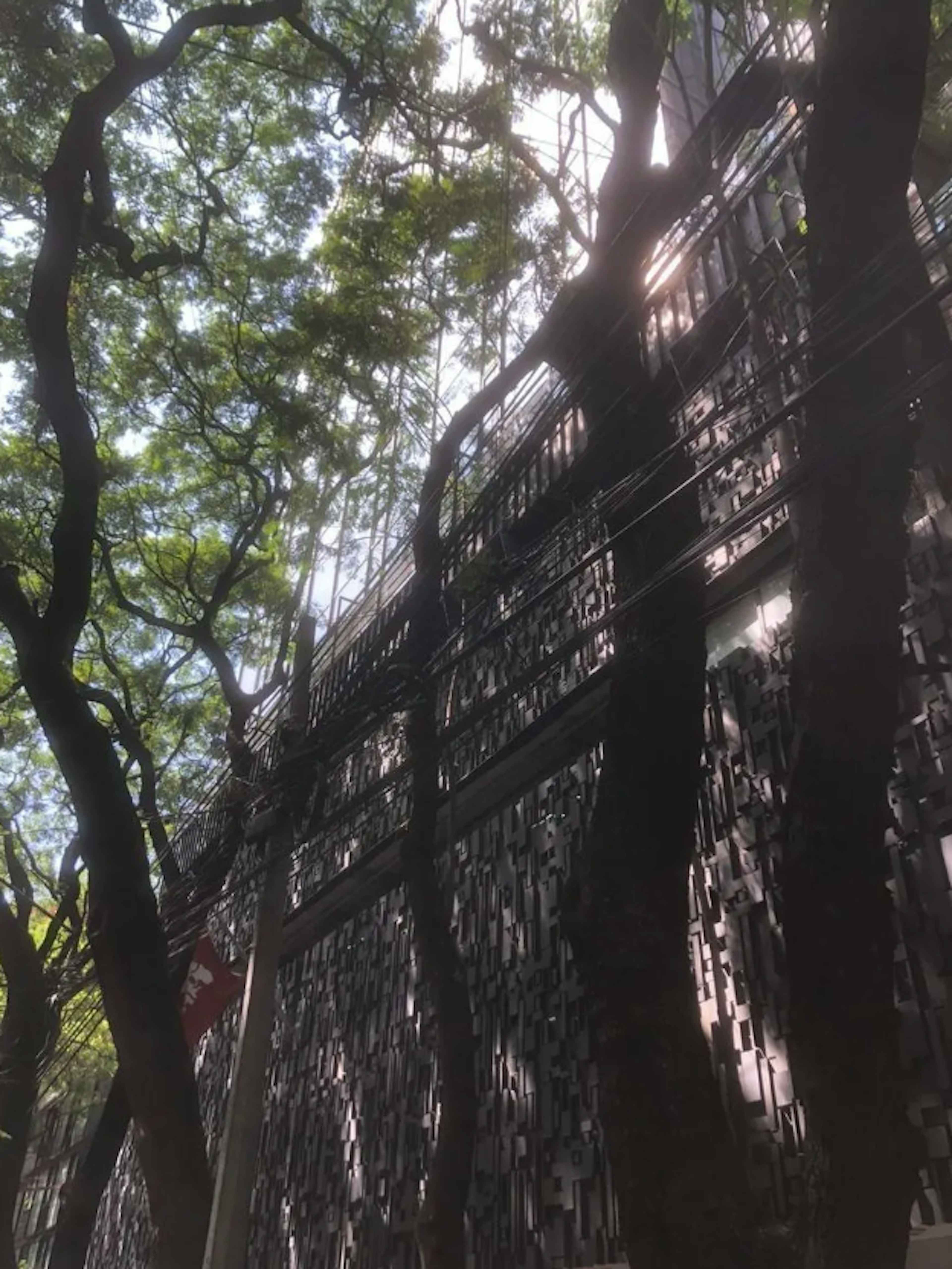 Avenida Ejército Nacional Mexicano