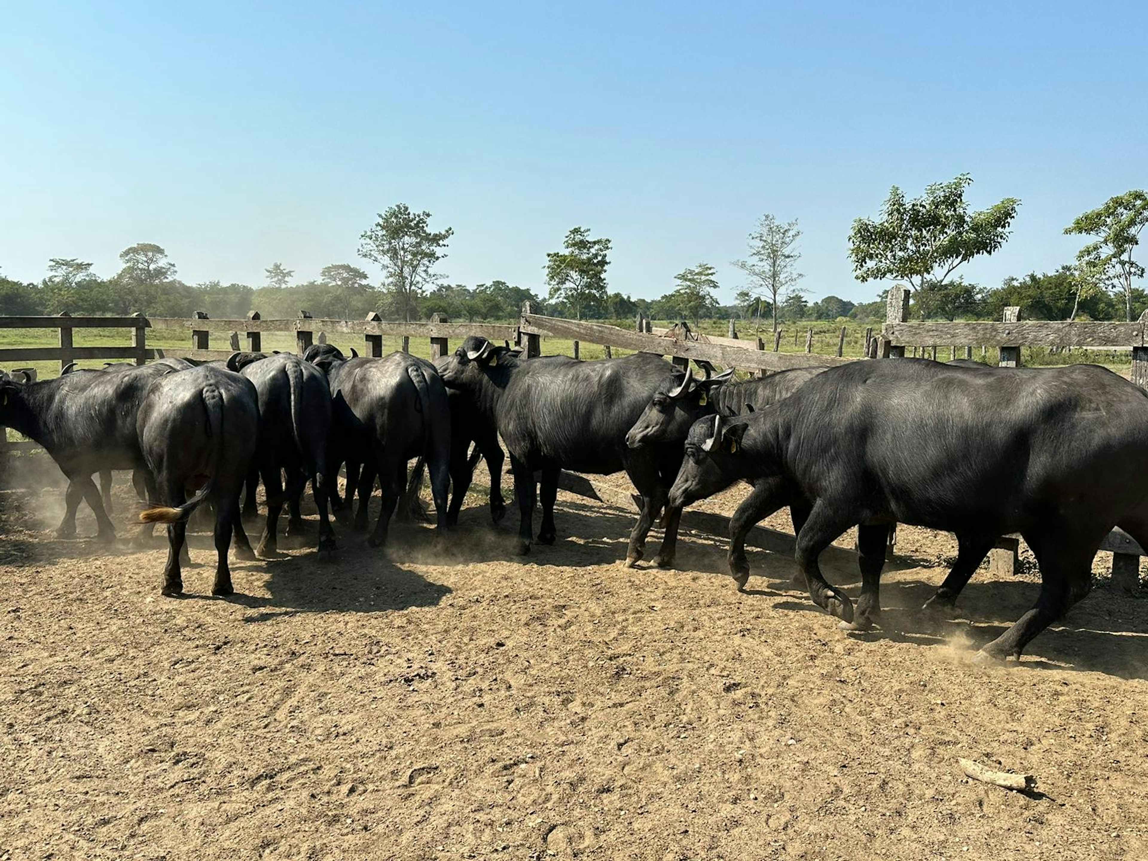 Carretera A Balancan
