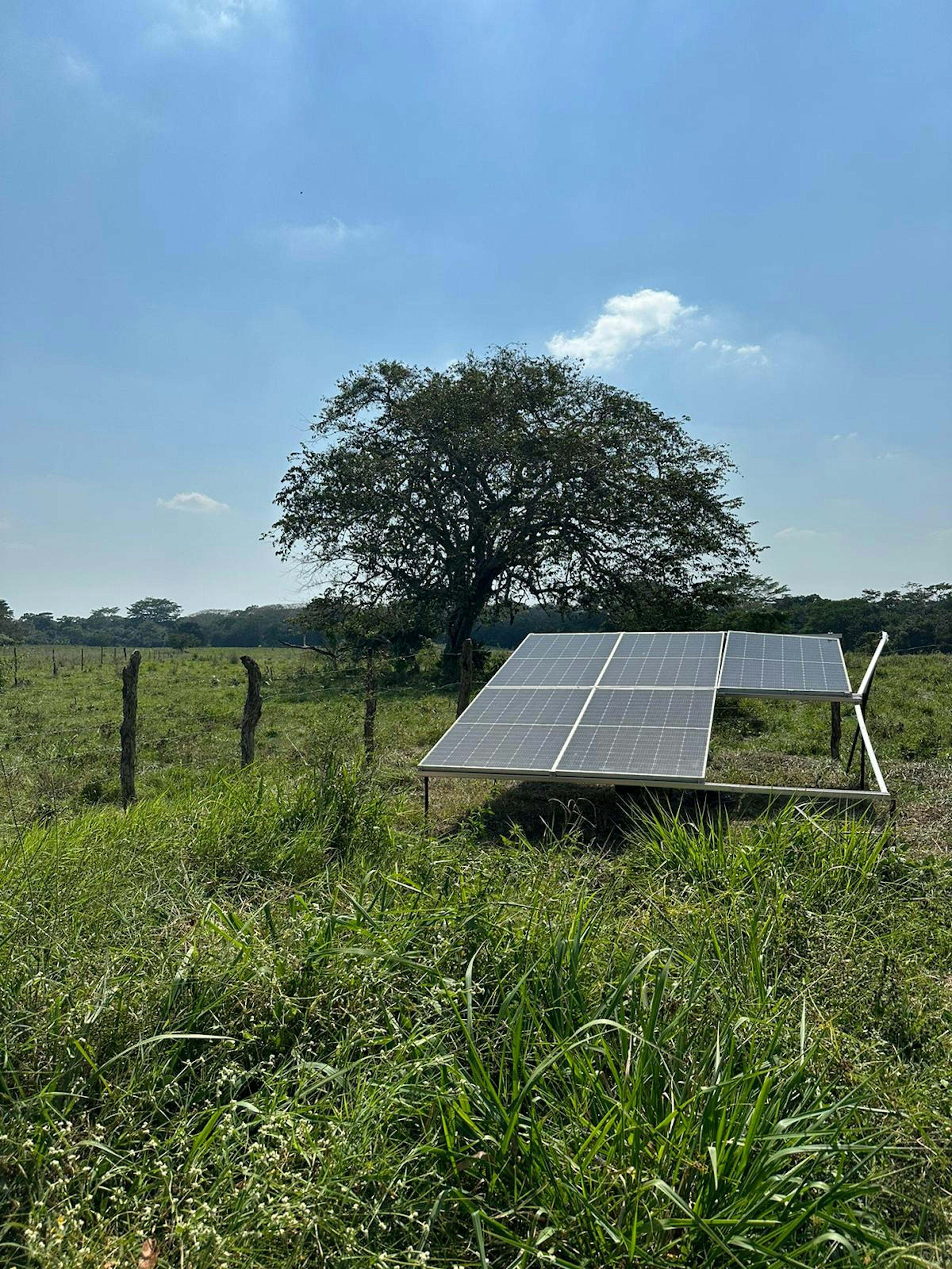 La imagen muestra una instalación de paneles solares en un área rural. Los paneles están colocados en un campo abierto con hierba alta y árboles en el fondo. Este tipo de instalación podría ser parte de un proyecto de energía renovable para propiedades rurales o agrícolas, aumentando el valor y la sostenibilidad de los terrenos. La integración de tecnología verde en propiedades rurales es una tendencia creciente en el sector inmobiliario.