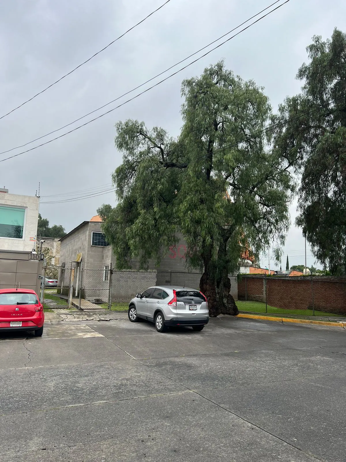 Terreno Spot2