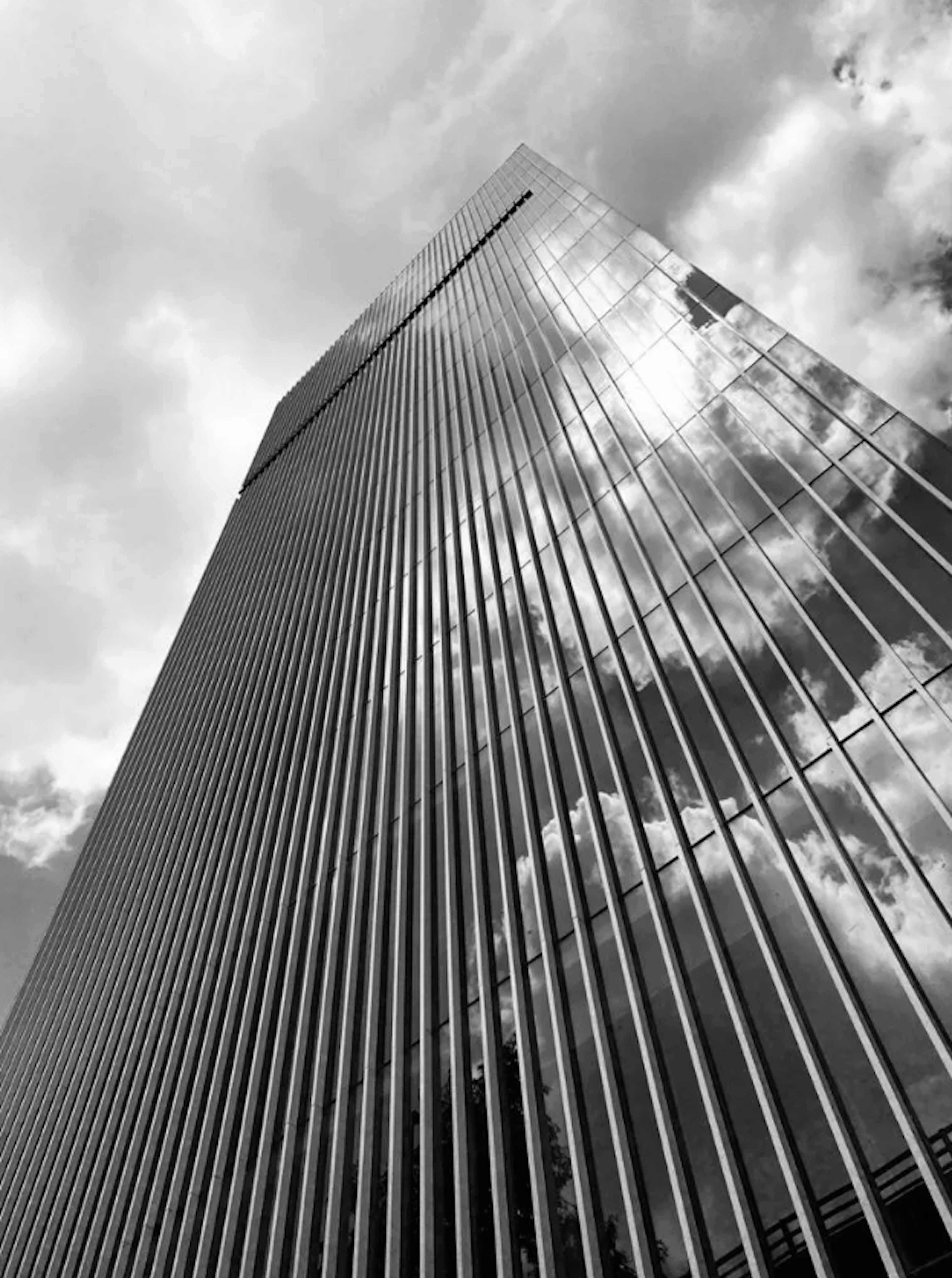 Boulevard Adolfo López Mateos