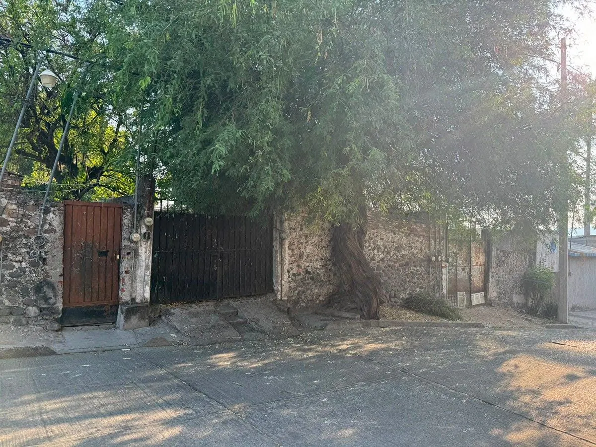 Terreno Spot2