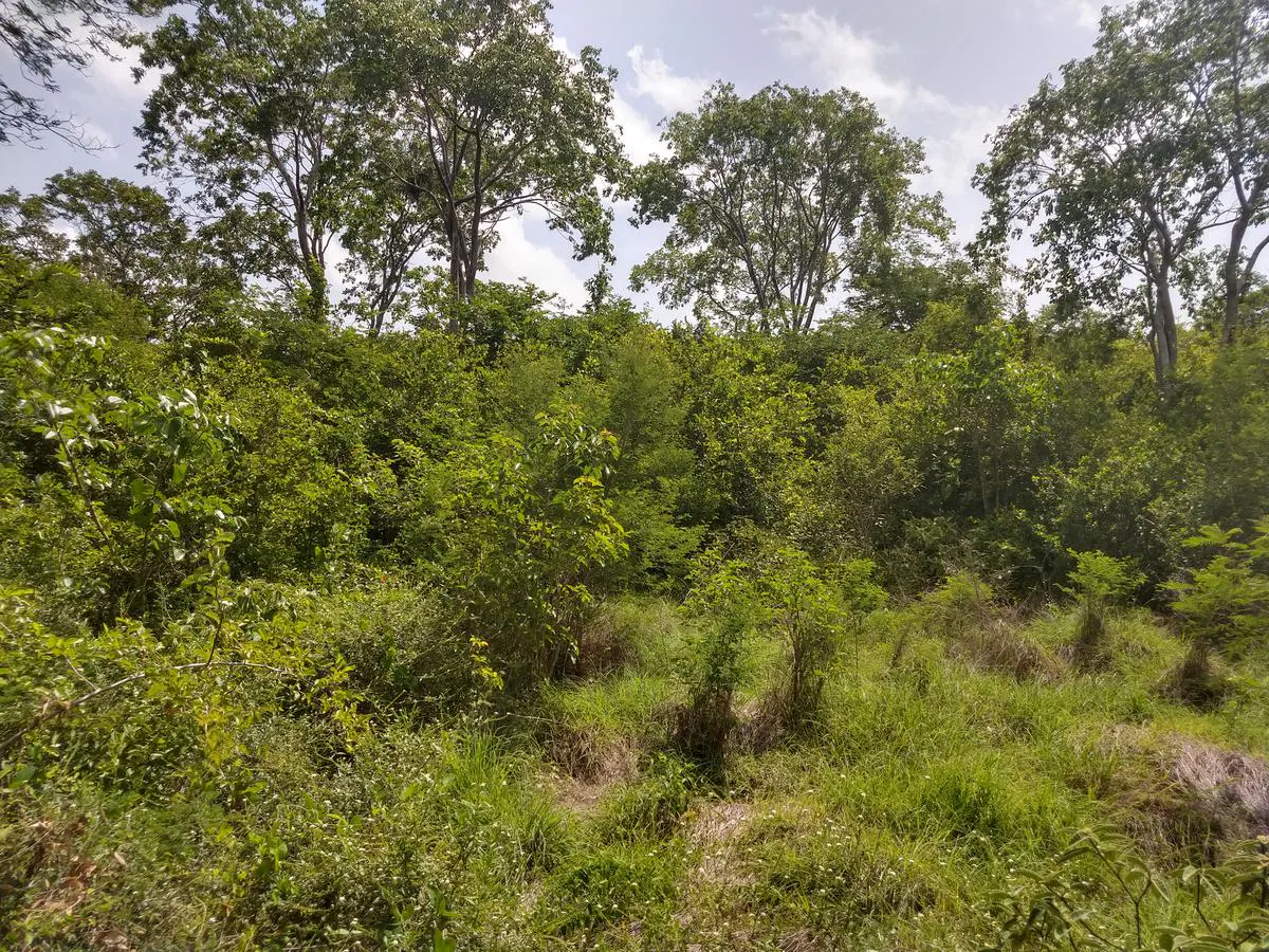 Terreno Spot2