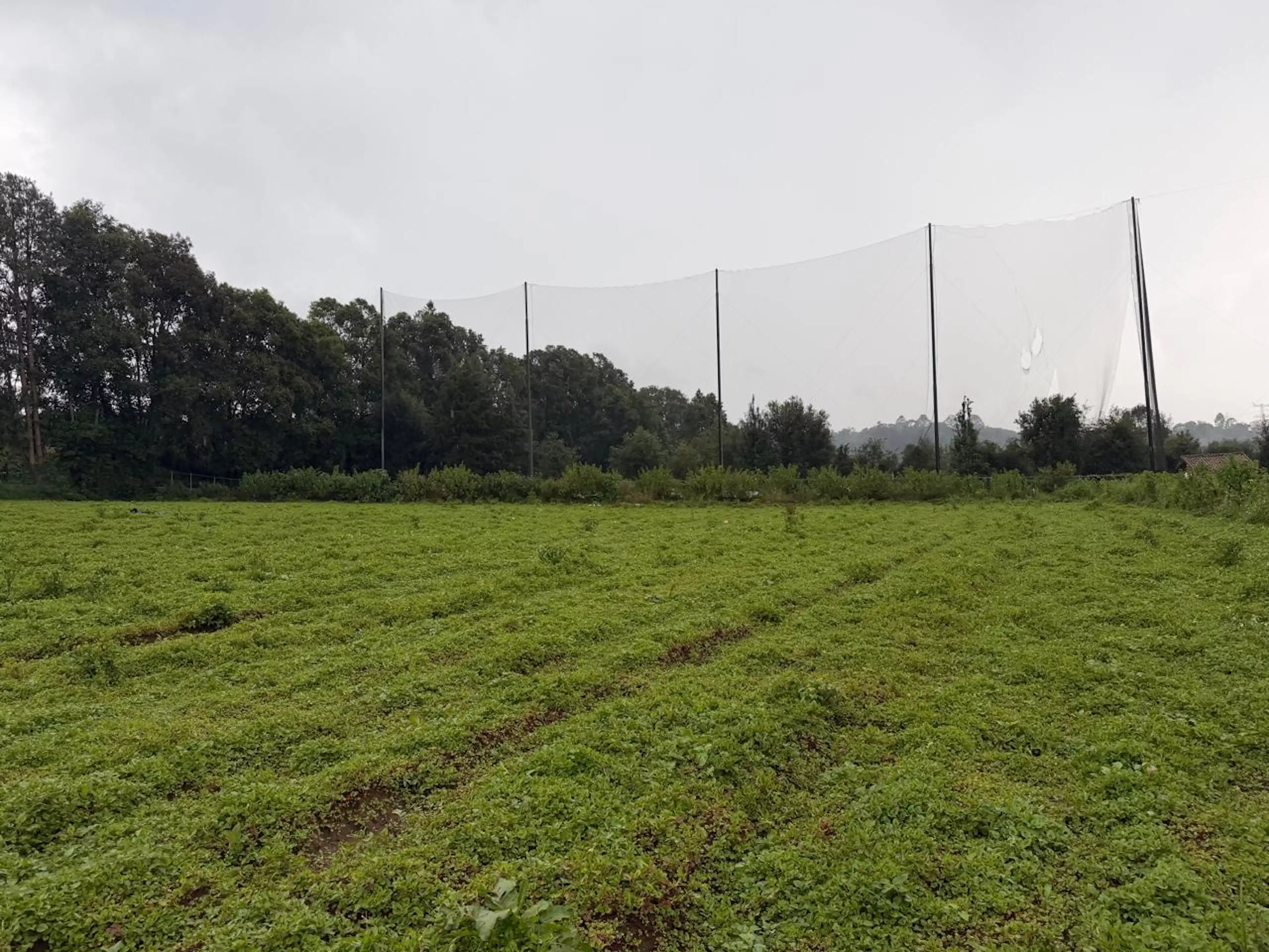 Terreno en San Simón el Alto