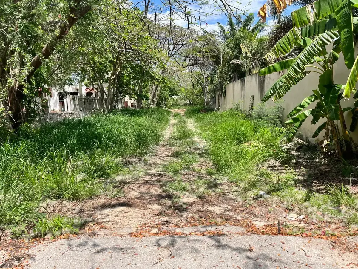 Terreno Spot2