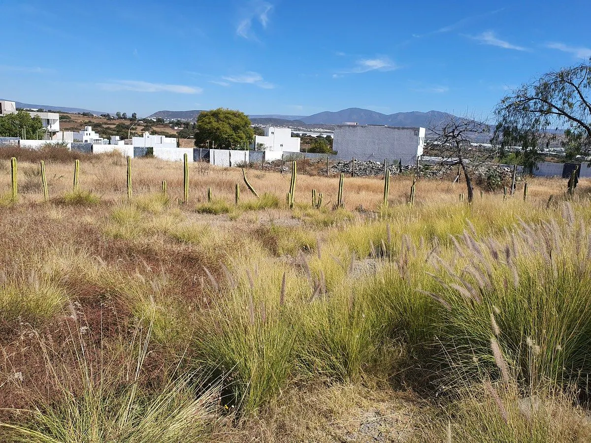 Terreno Spot2