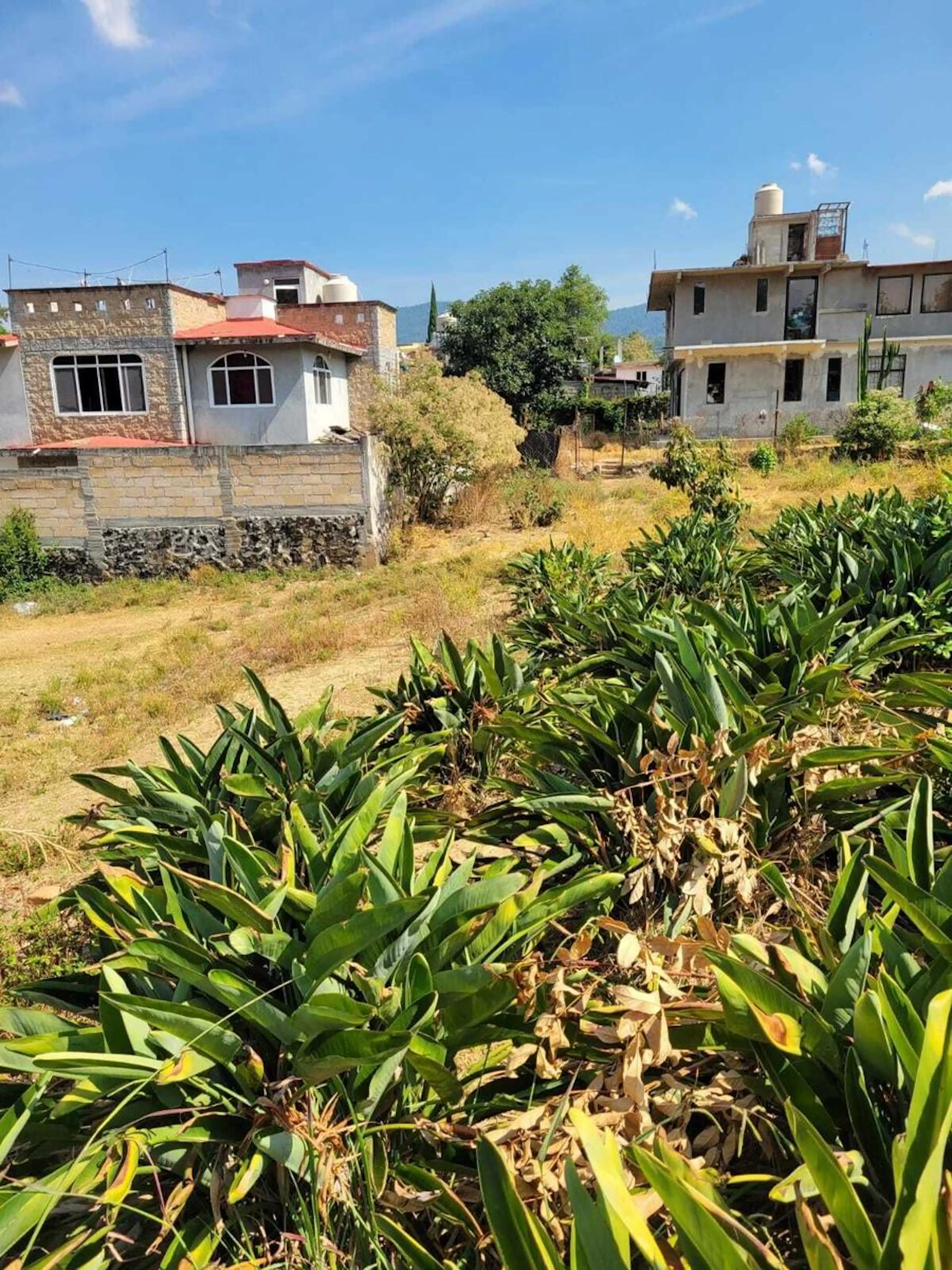 Terreno Exclusivo de 300 m² con Aves de Paraíso y Servicios Cercanos"