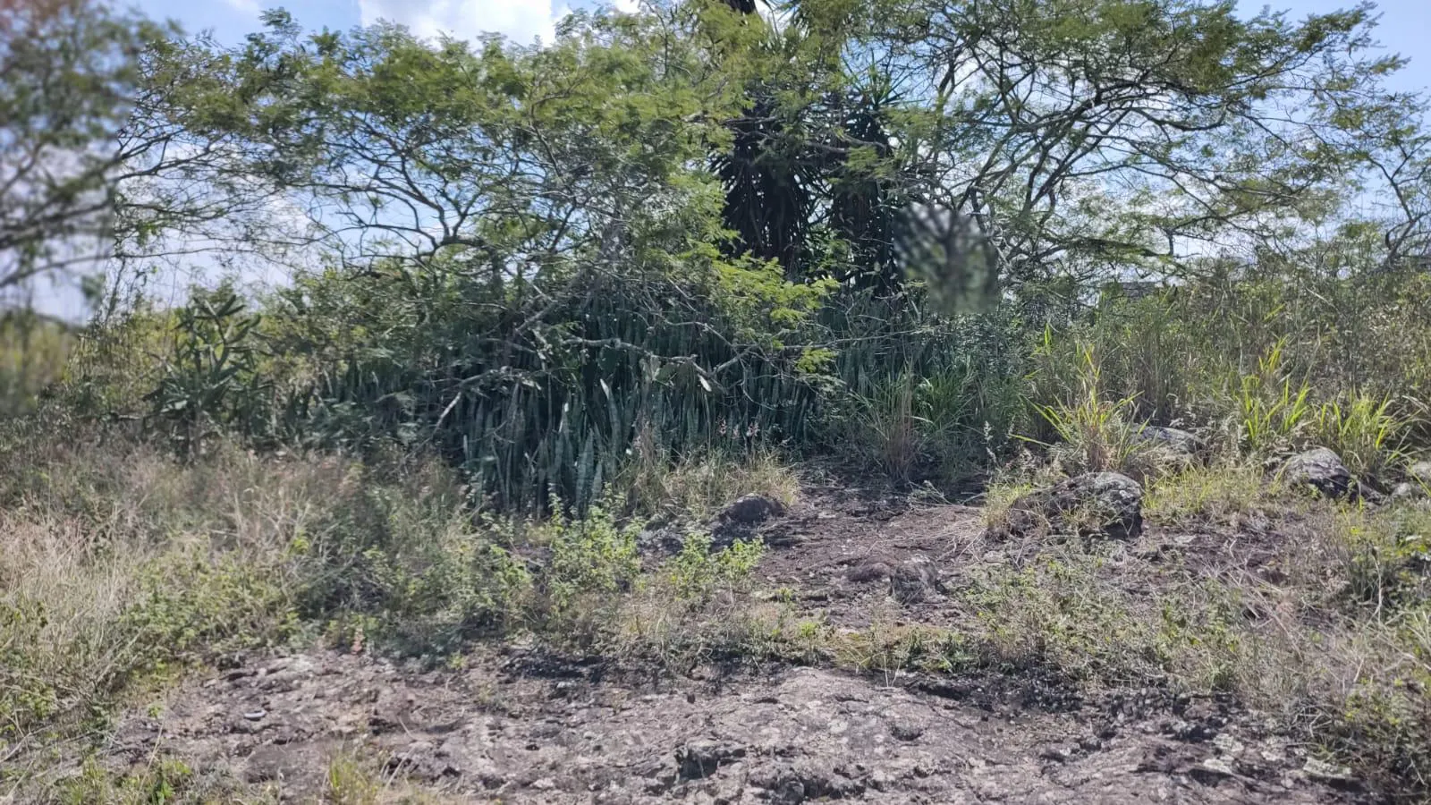 Terreno Spot2