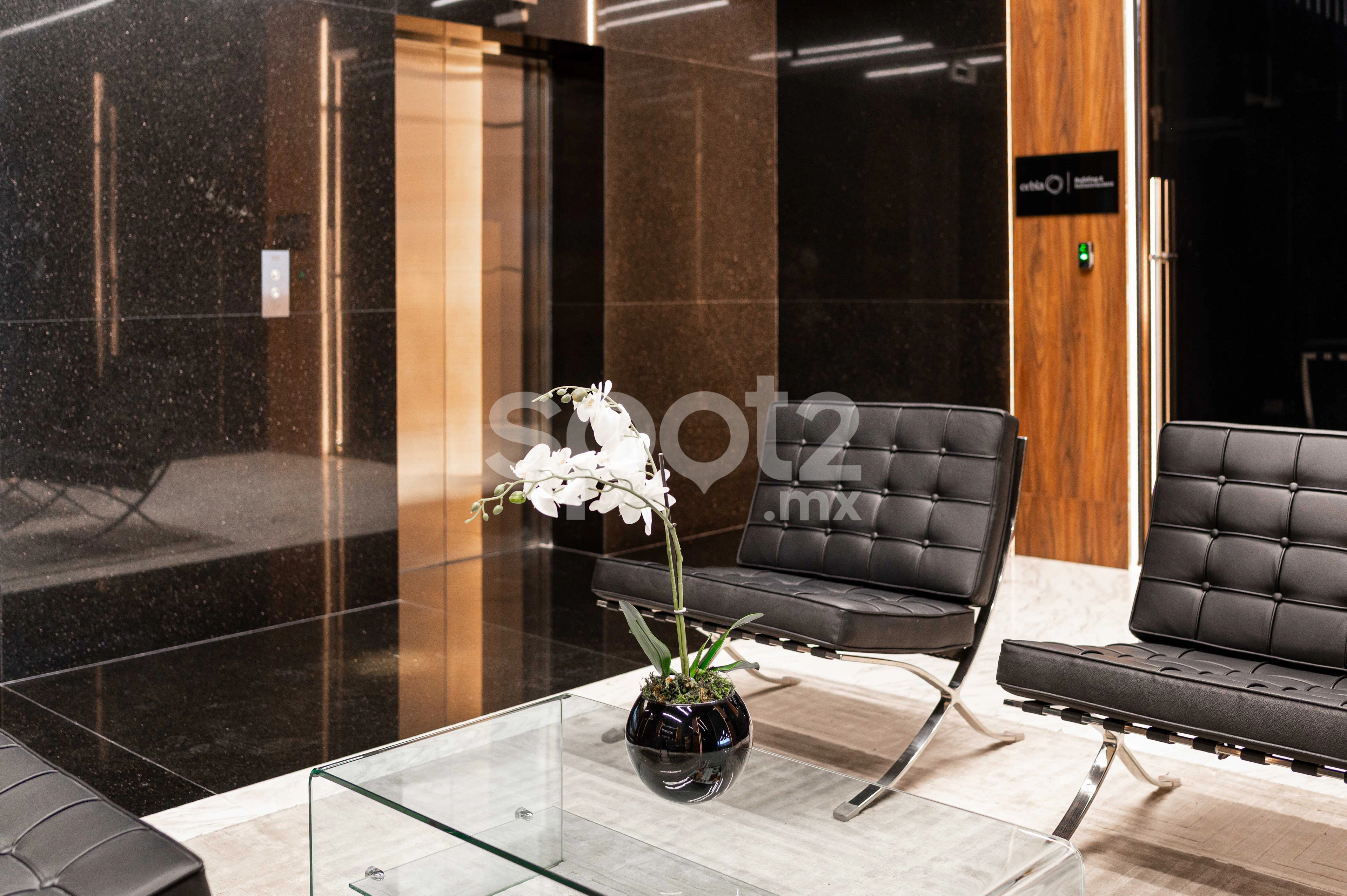N21-2-photo