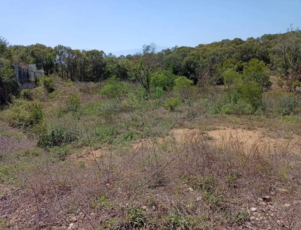 Terreno Spot2