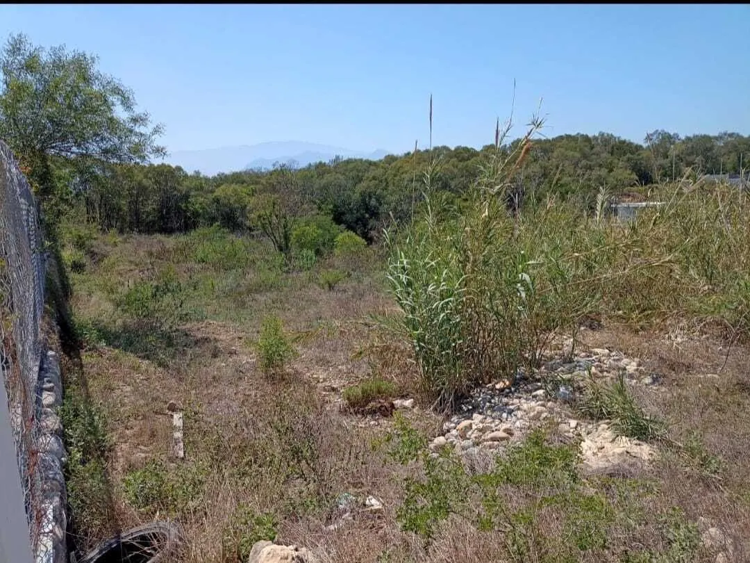 Terreno Spot2