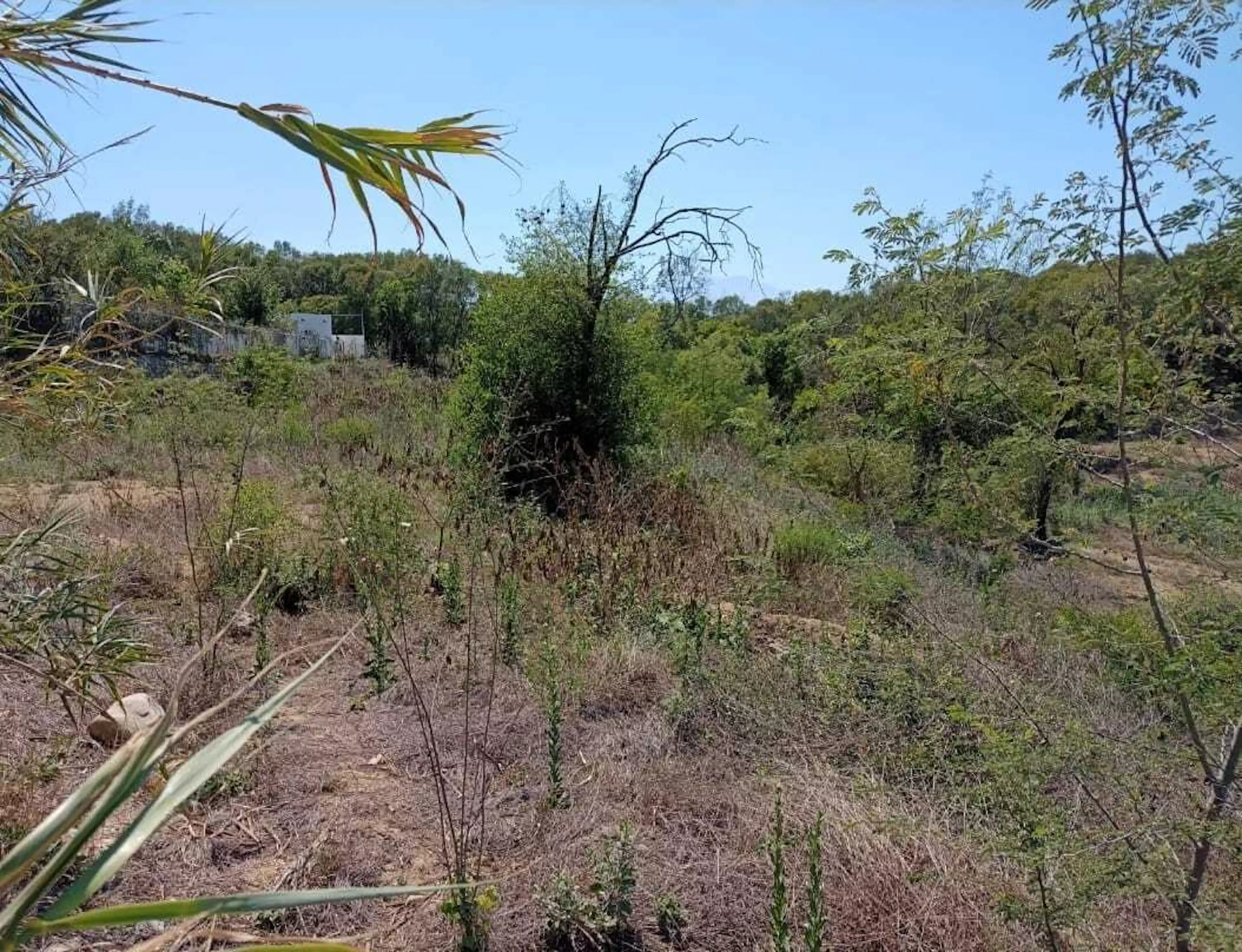 TERRENO EN ALLENDE