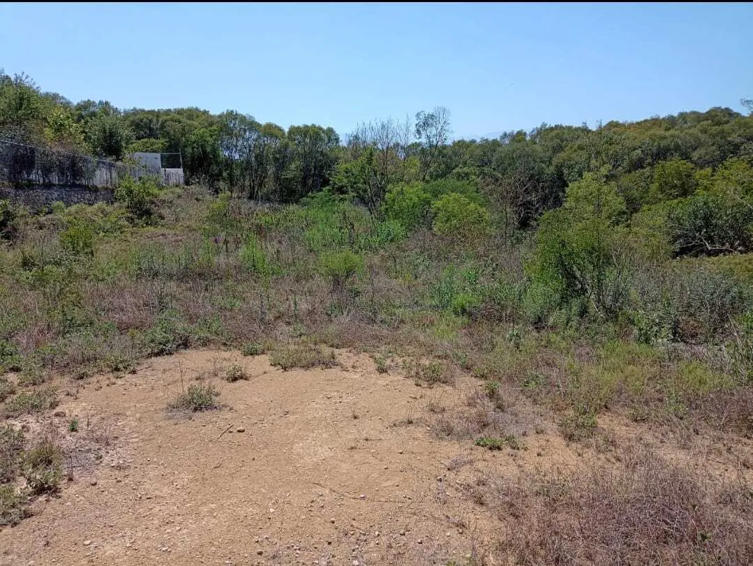 Terreno Spot2