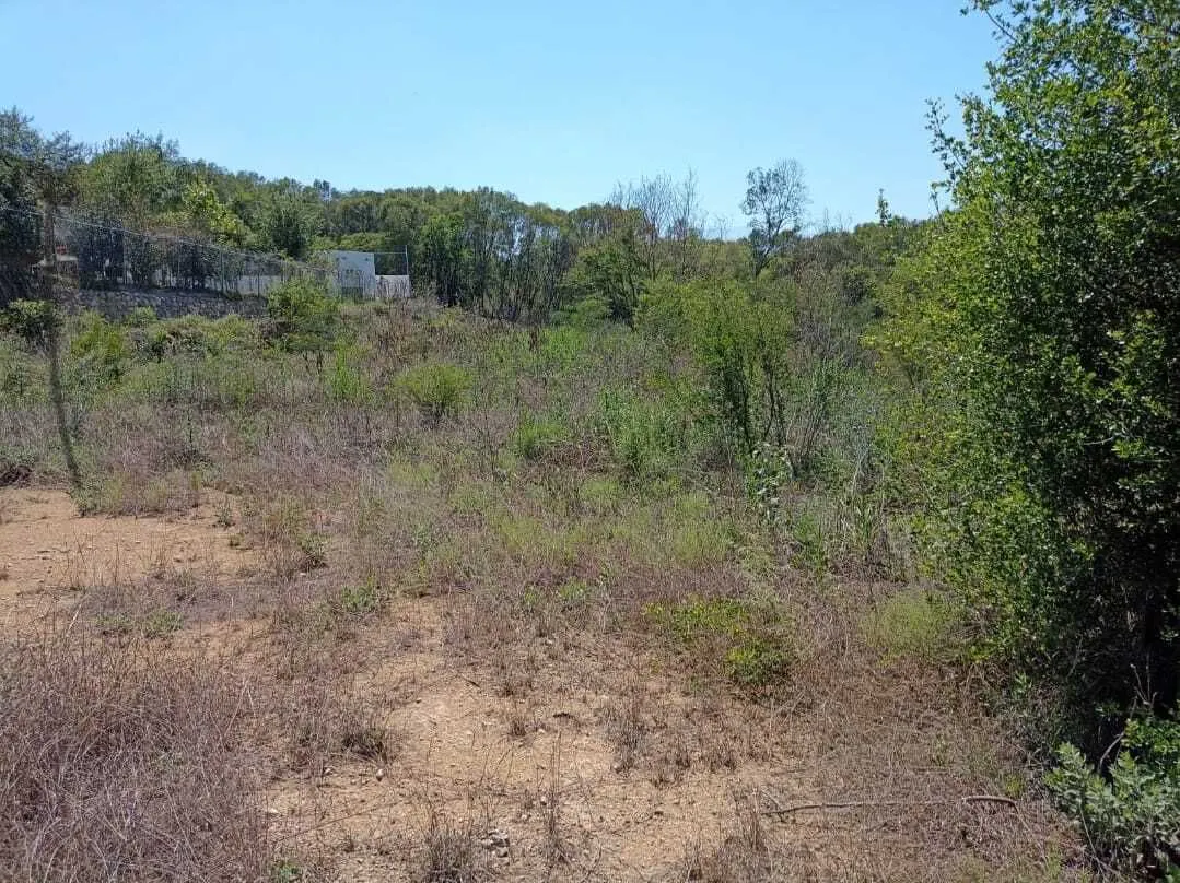 Terreno Spot2