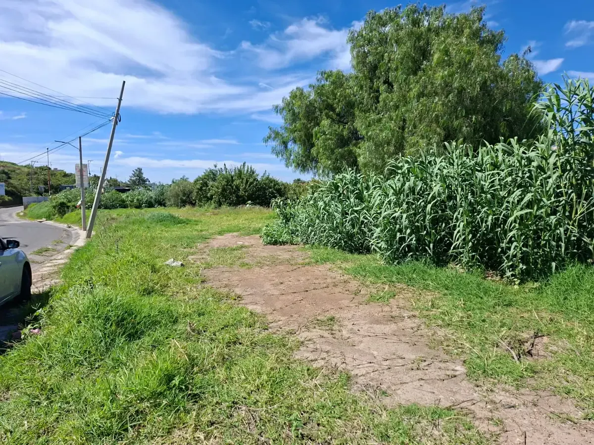 Terreno Spot2