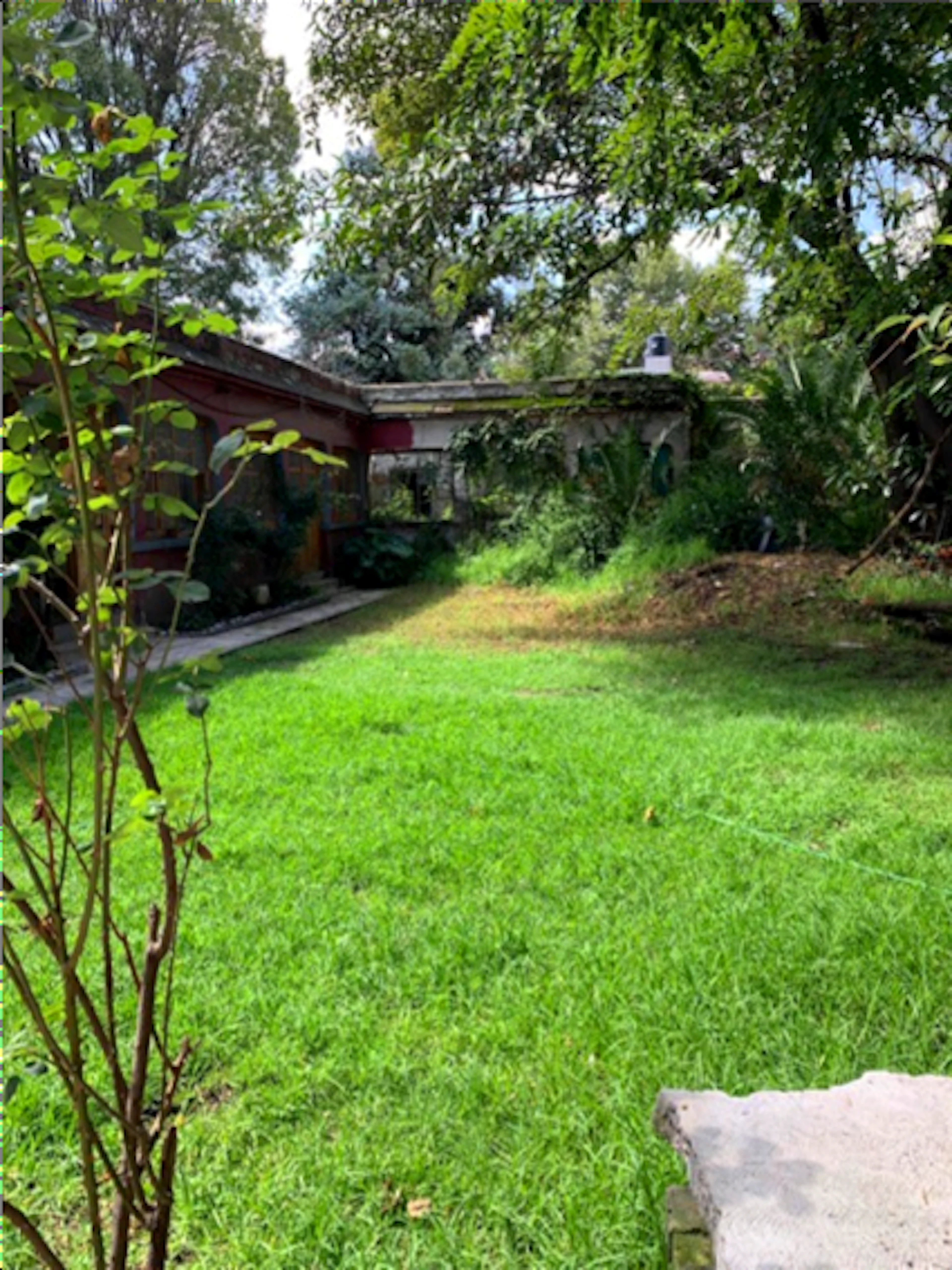 Terreno Spot2
