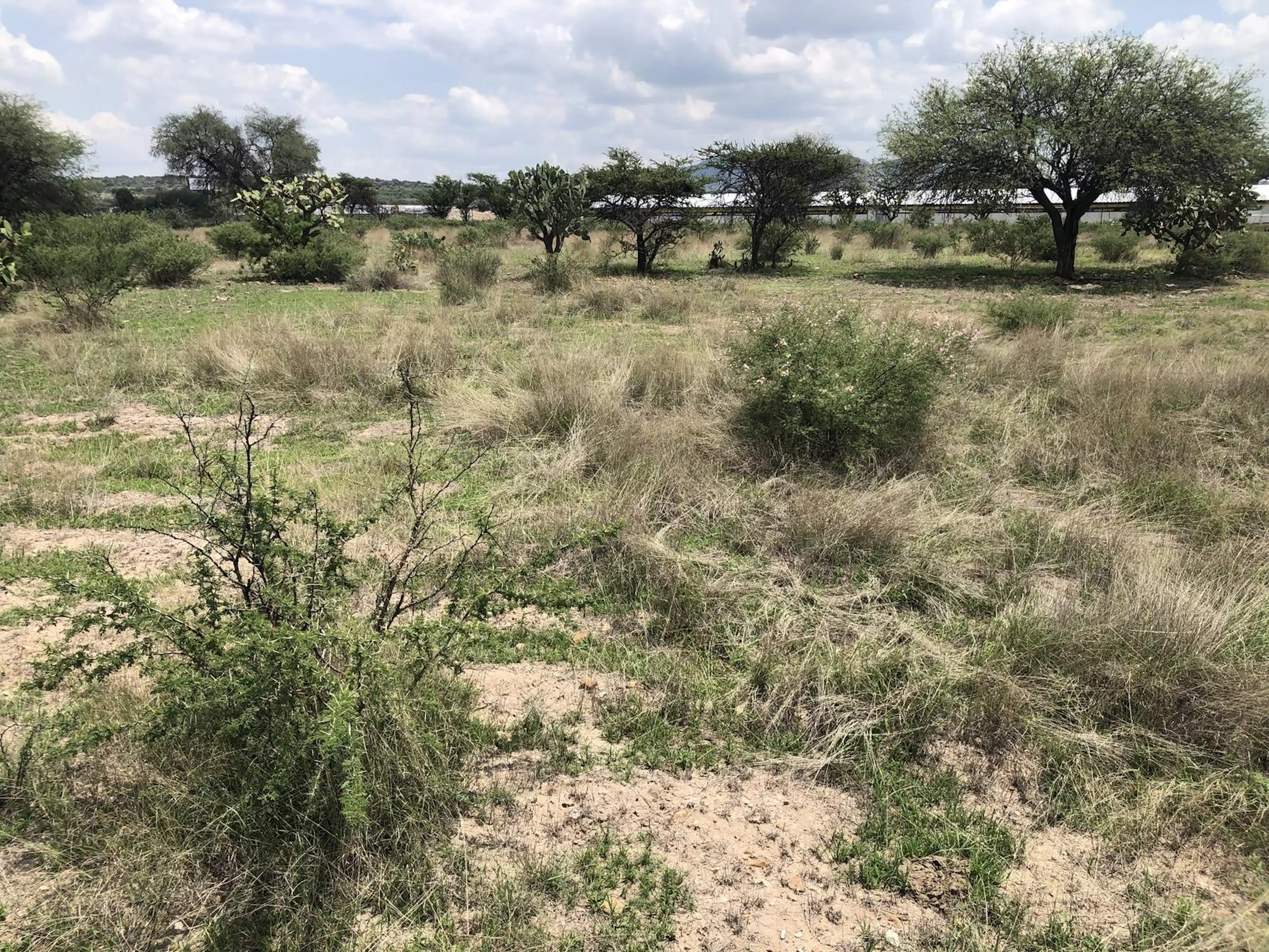 Venta De Terreno Al Sur, Zona Peñuelas, Aguascalientes, Aguascalientes, México