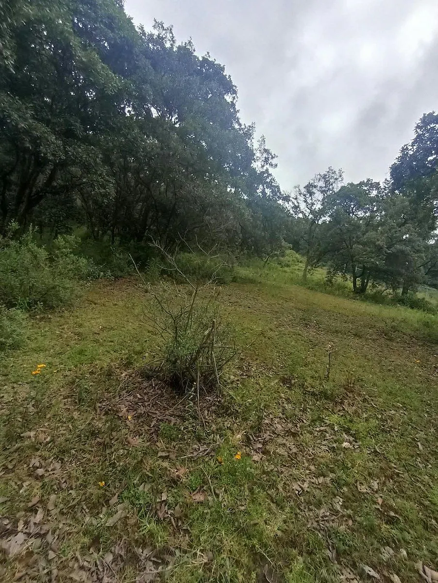 Terreno Spot2