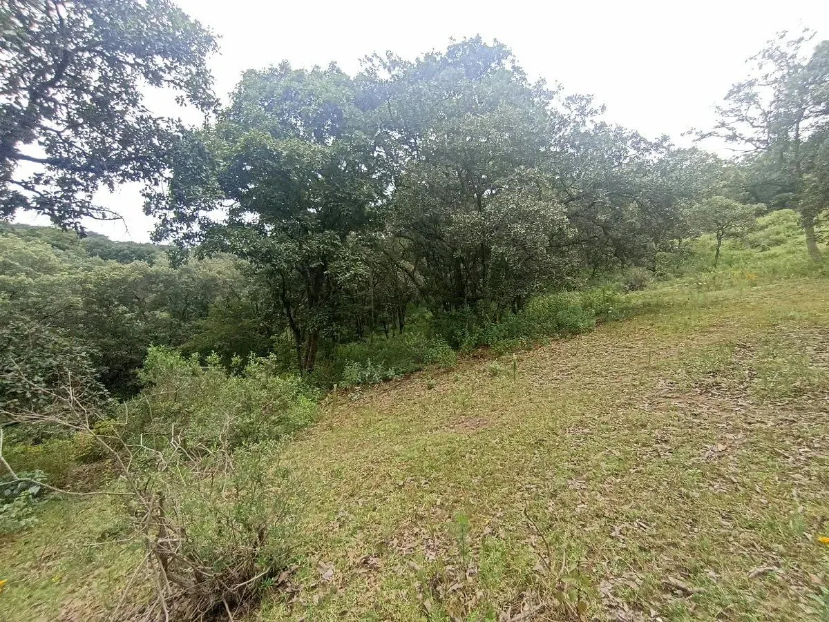 Terreno Spot2