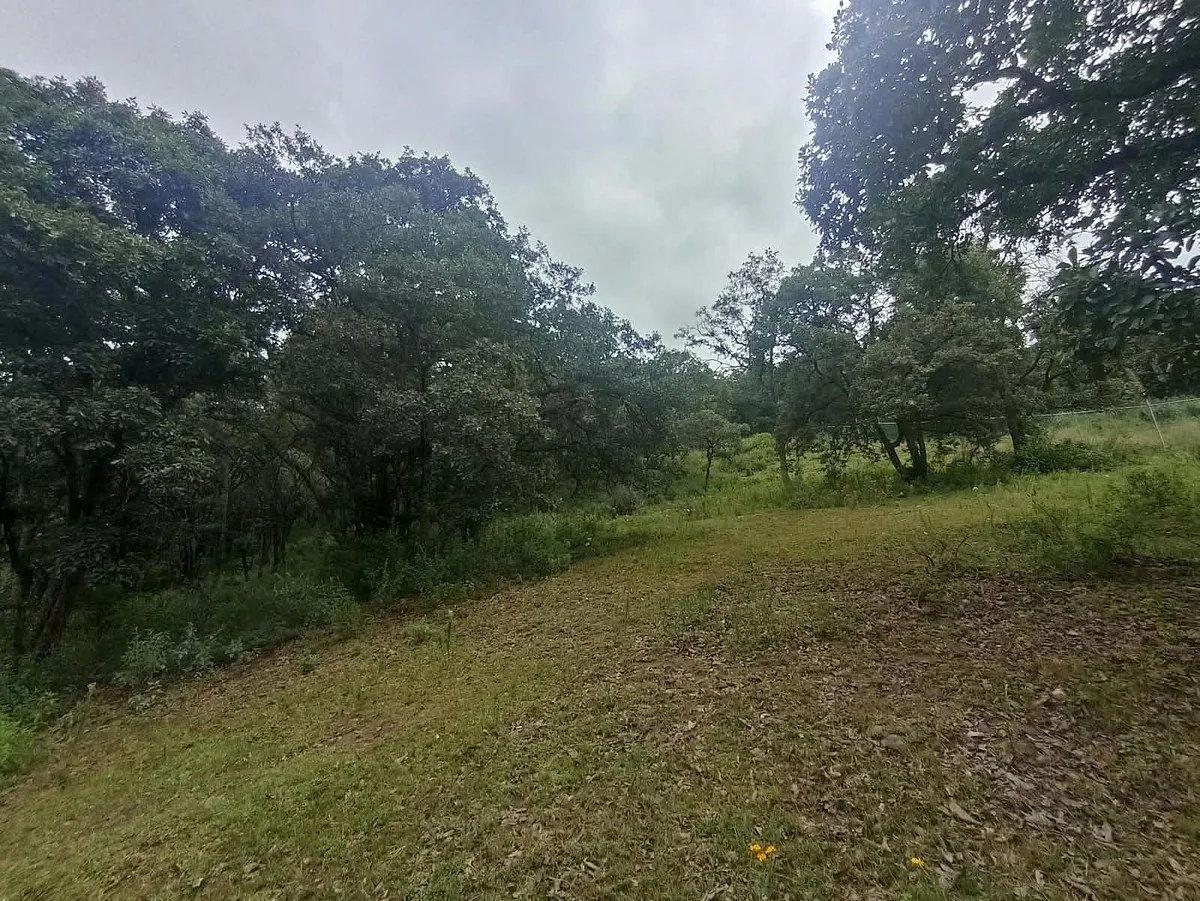 Terreno Spot2