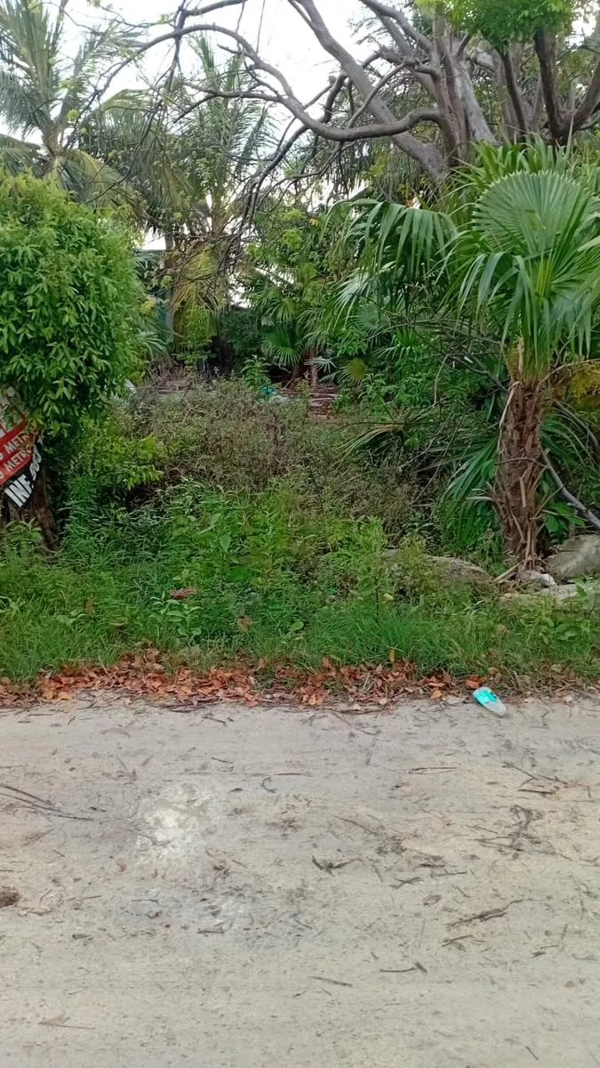 Terreno Spot2