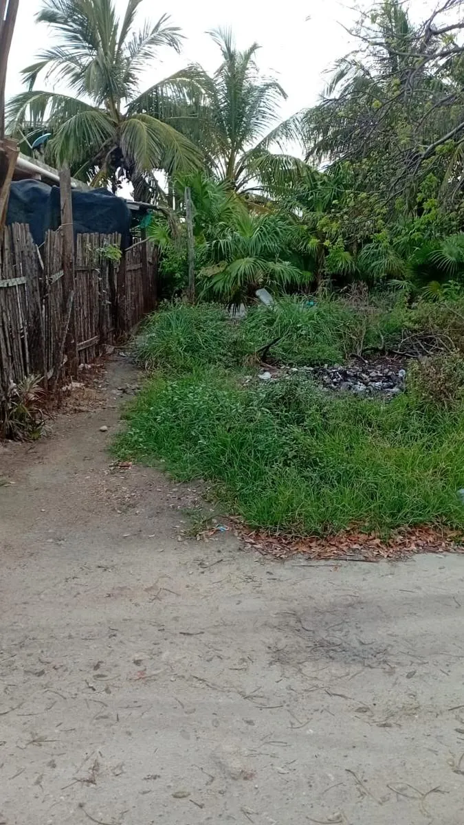 Terreno Spot2