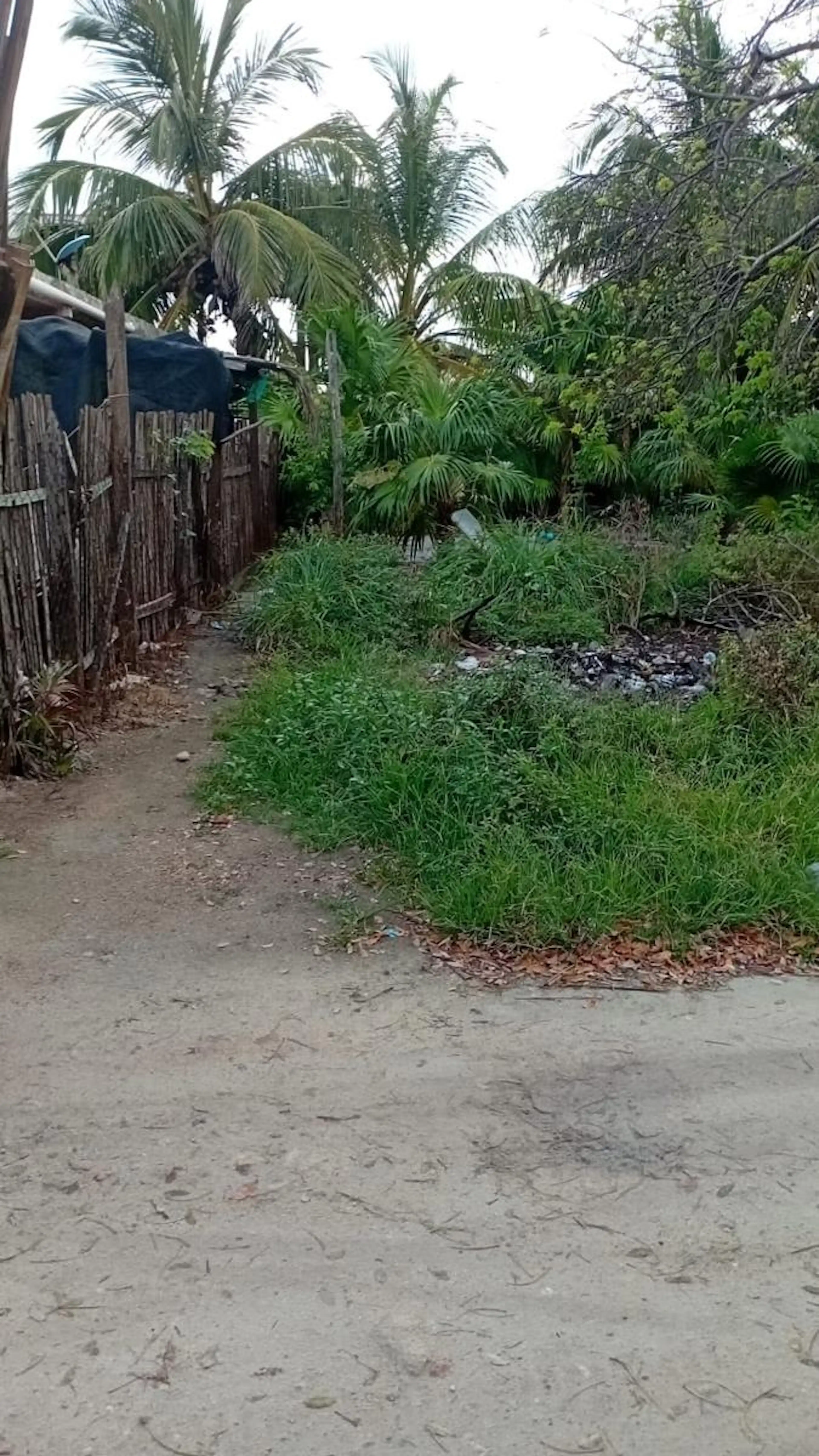 Terreno  en Venta en Mahahual