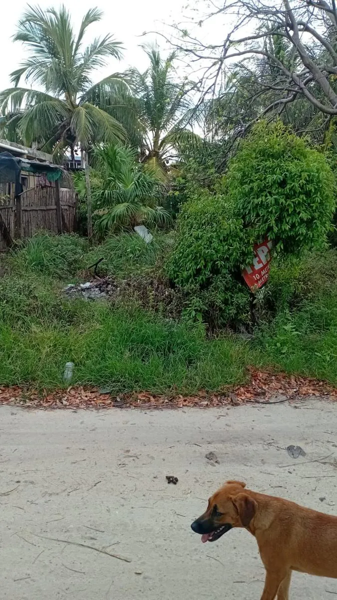 Terreno Spot2