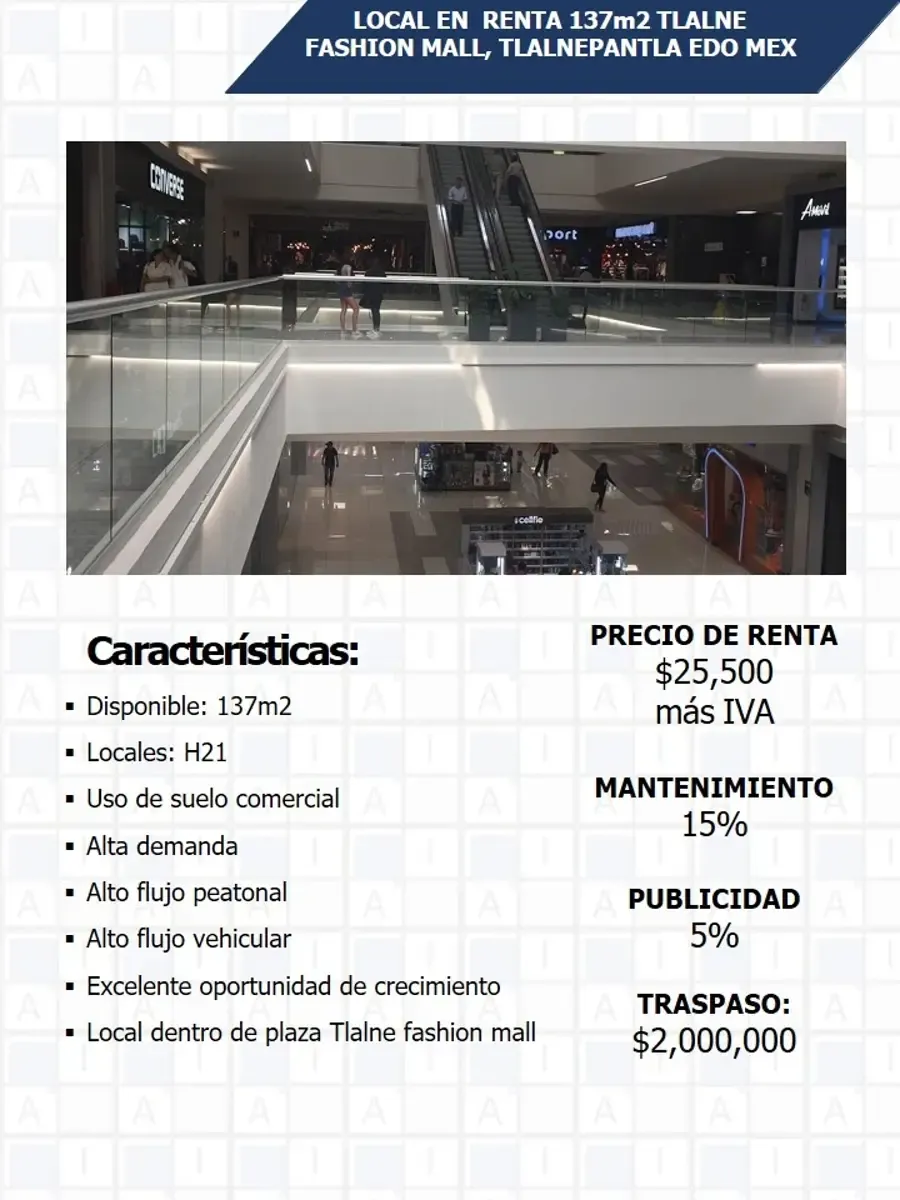 Local Comercial Spot2