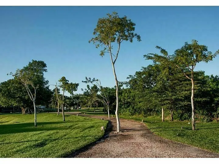 Terreno Spot2