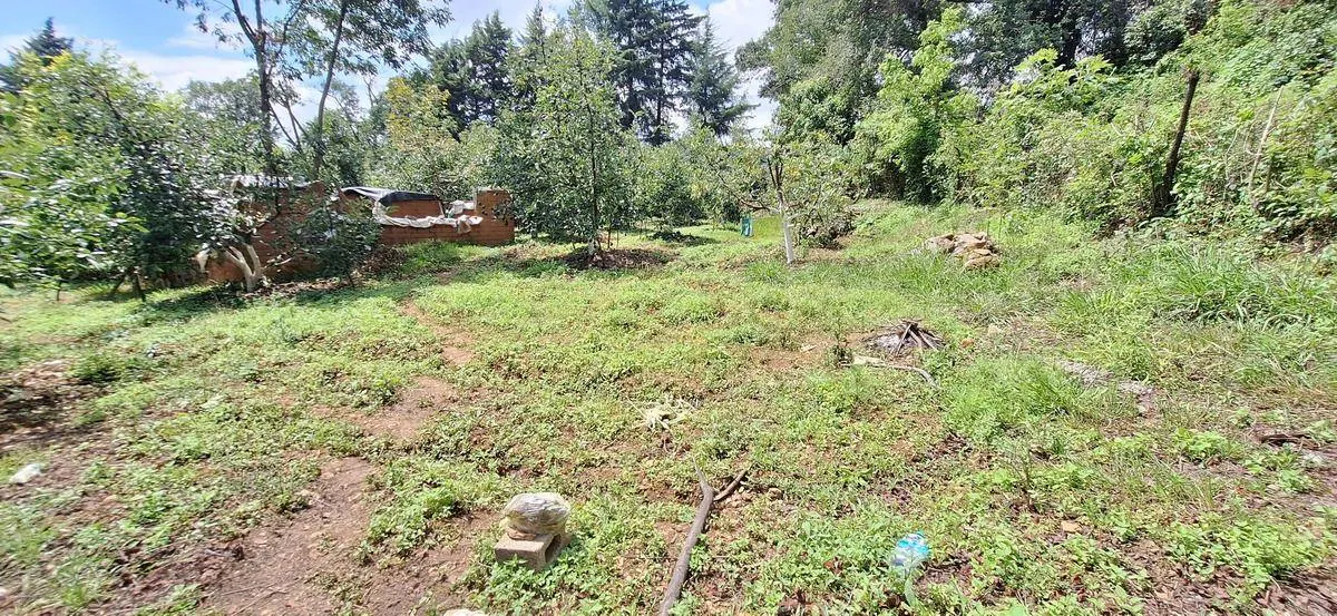 Terreno Spot2