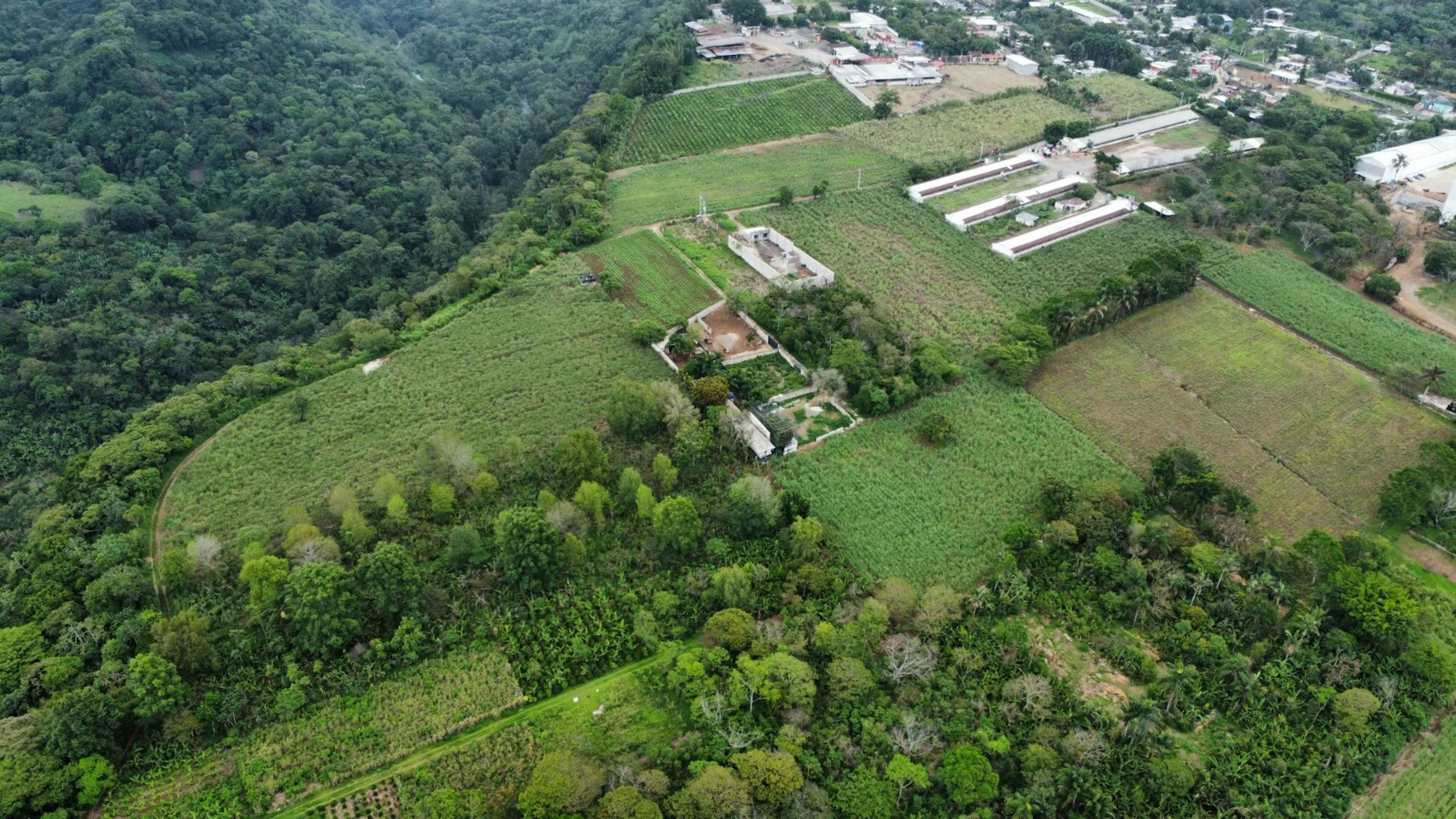 Terreno - Monte Salas,