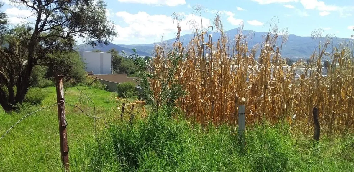 Terreno Spot2