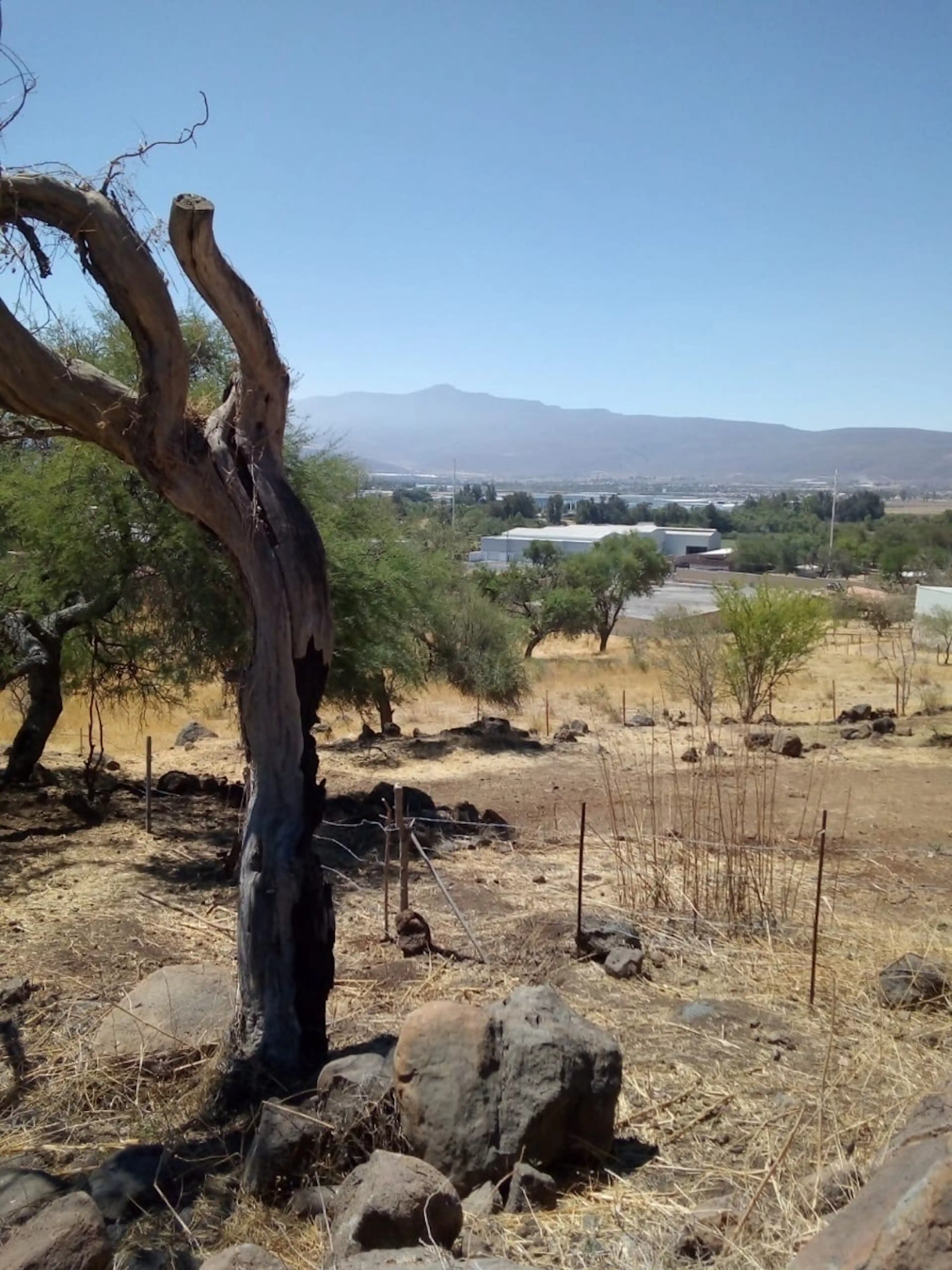 Terreno EN VENTA, Santa Cruz de las Flores, Tlajomulco.