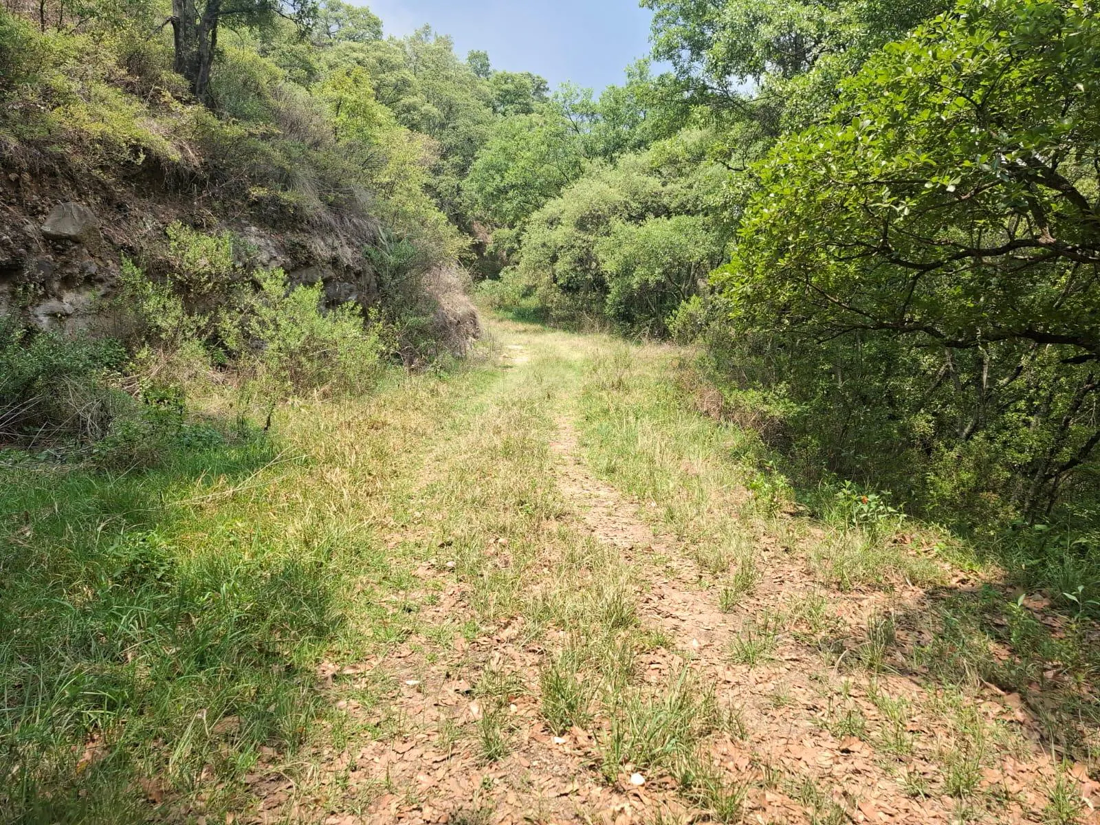 Terreno Spot2