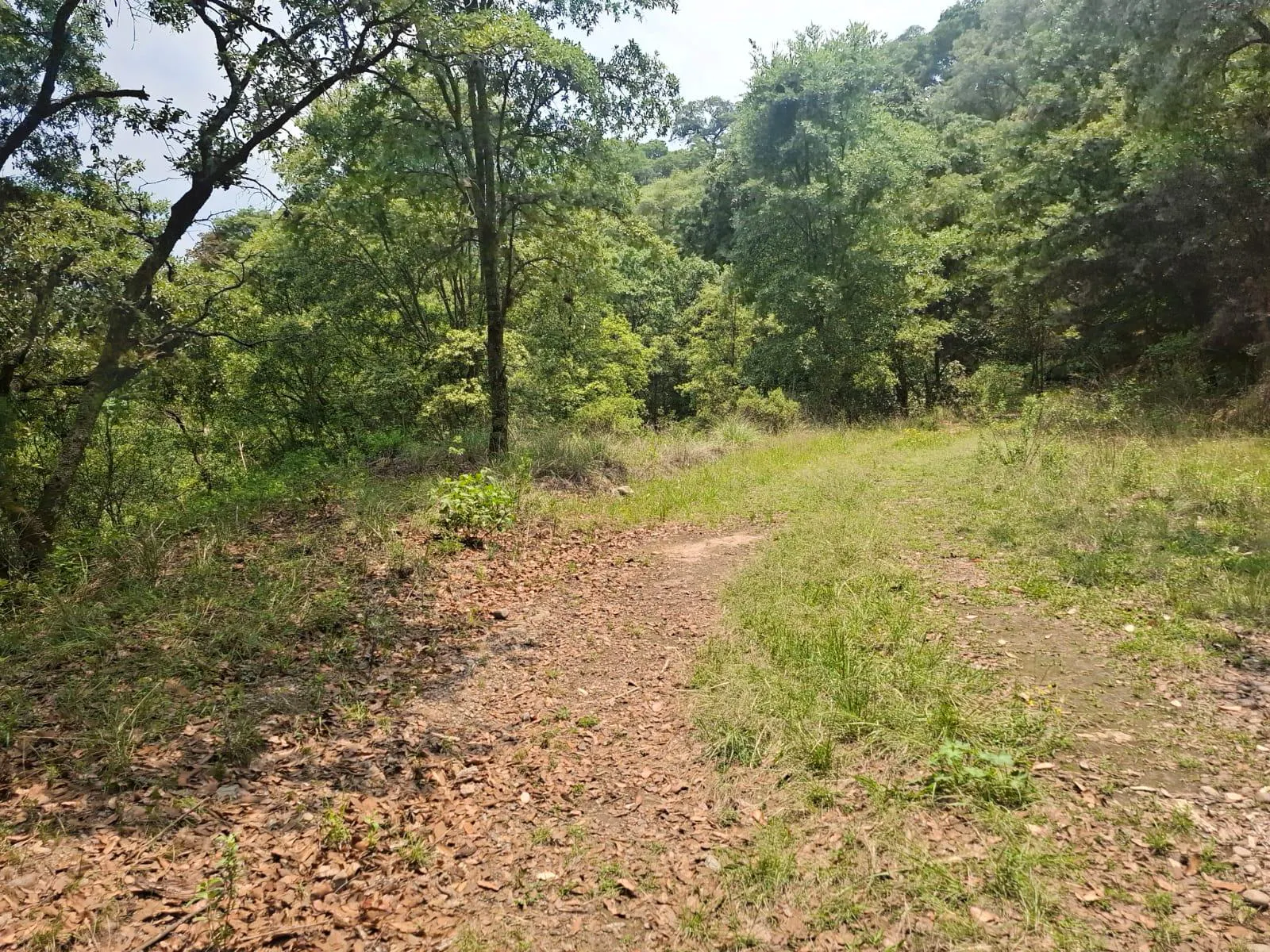 Terreno Spot2