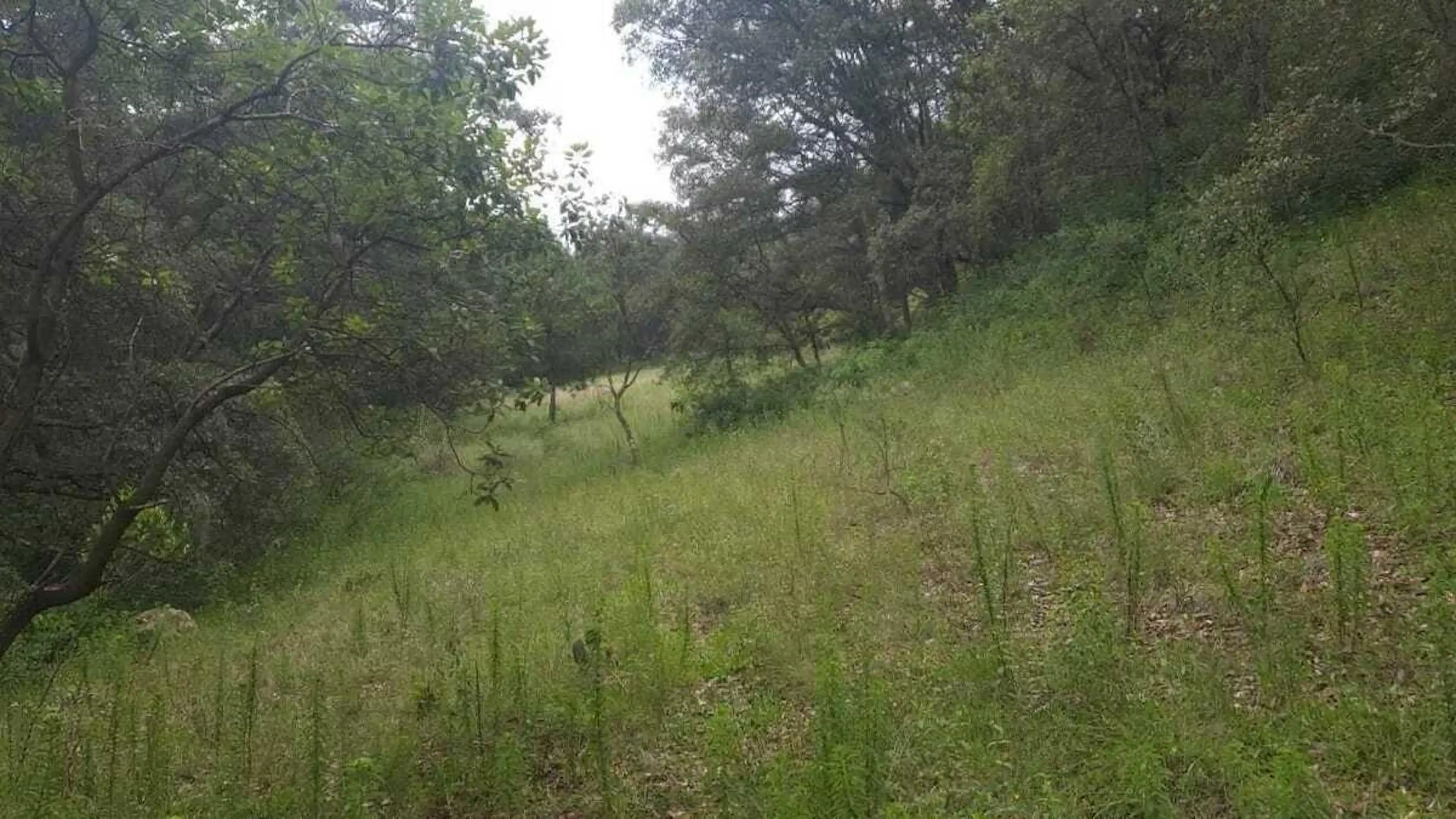 Venta de Terreno en Fracc. Campestre lt. 56, Villa del Carbón