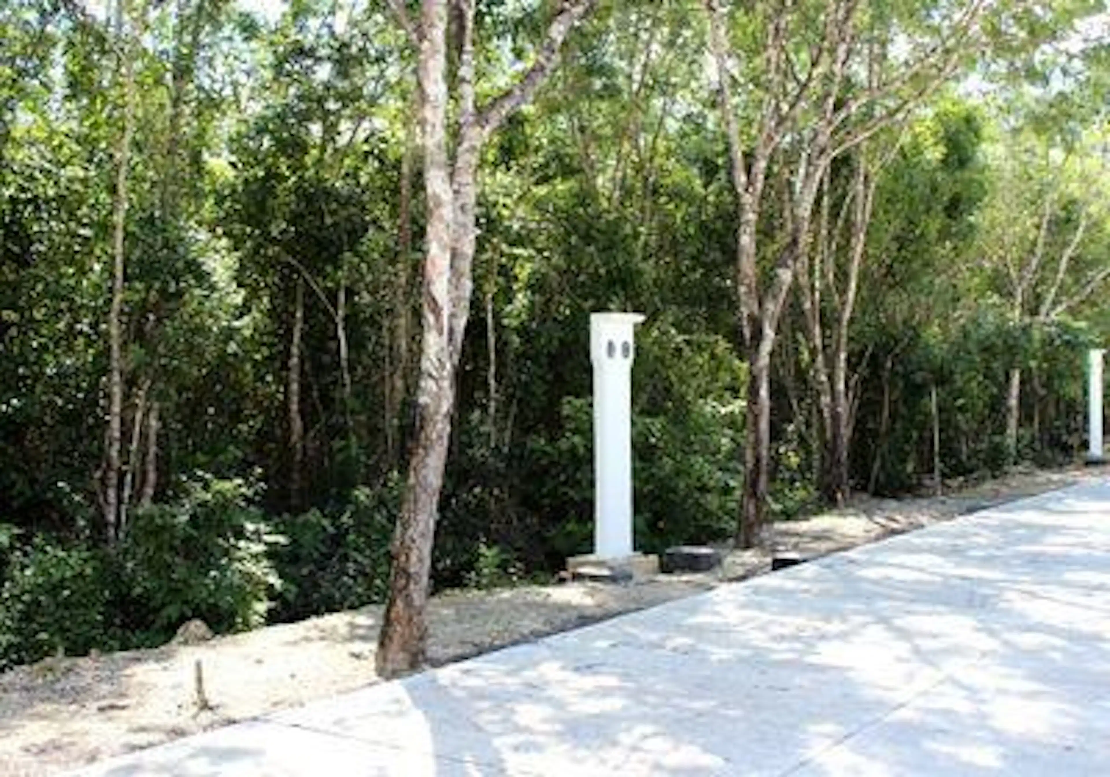 Lote 25 y 26 - Terrenos Residenciales en Venta en Playa del Carmen